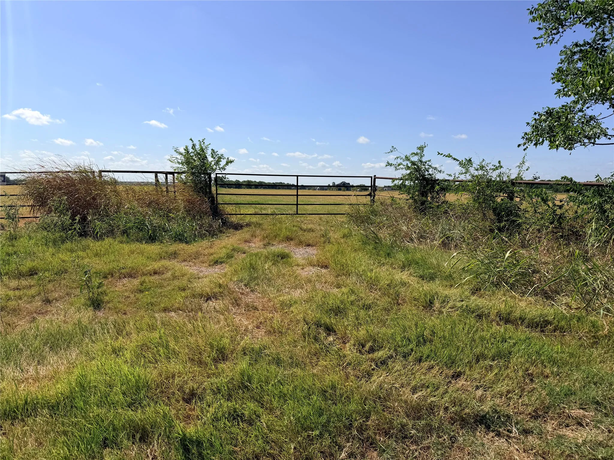 Unimproved Land For Sale in Kaufman County , TBD County Road 347, Wills Point, Texas 75169, 0, 0, Garage spaces, 0 Sqft, built in 0, Price $260,000, mls#21357433, Real Estate Agent in Wills Point, Homes For Sale in Kaufman county, Homes For Sale in Wills Point, Realtor in Wills Point Texas, Real Estate Brokerage Independent Realty Texas, Luminita Cordes Realtor