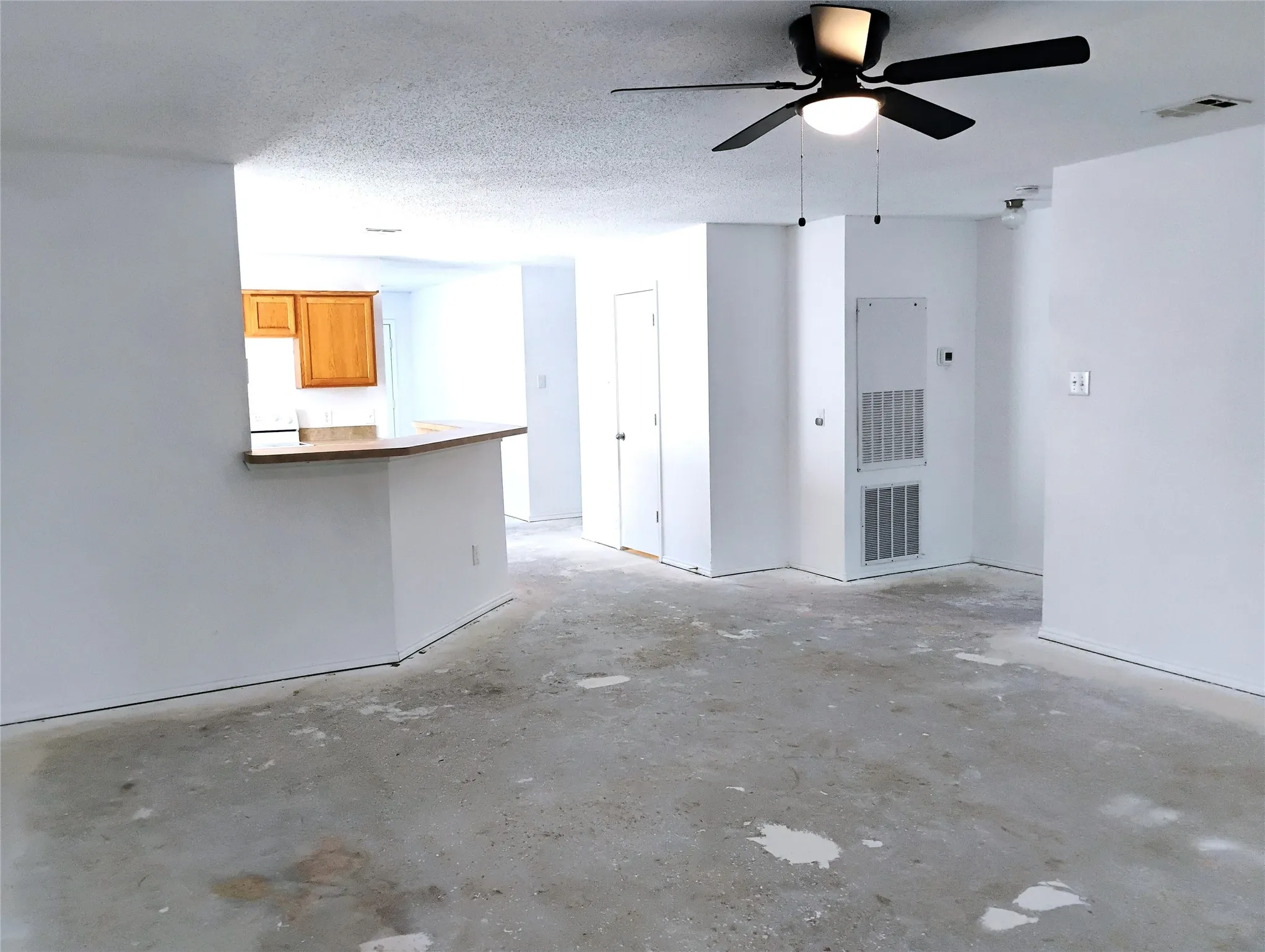 Kitchen & Living Area
