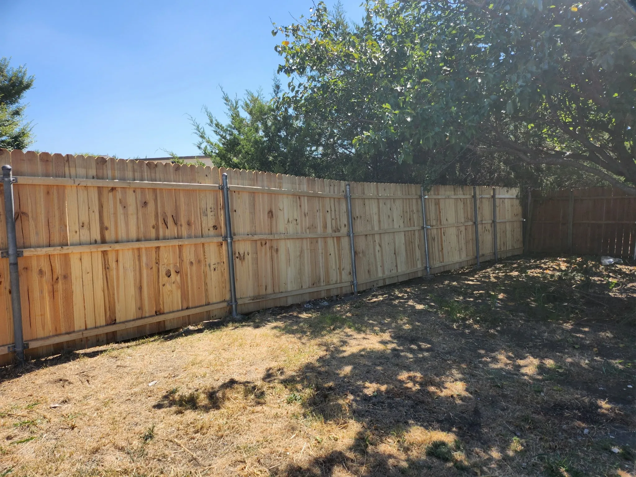 New fencing