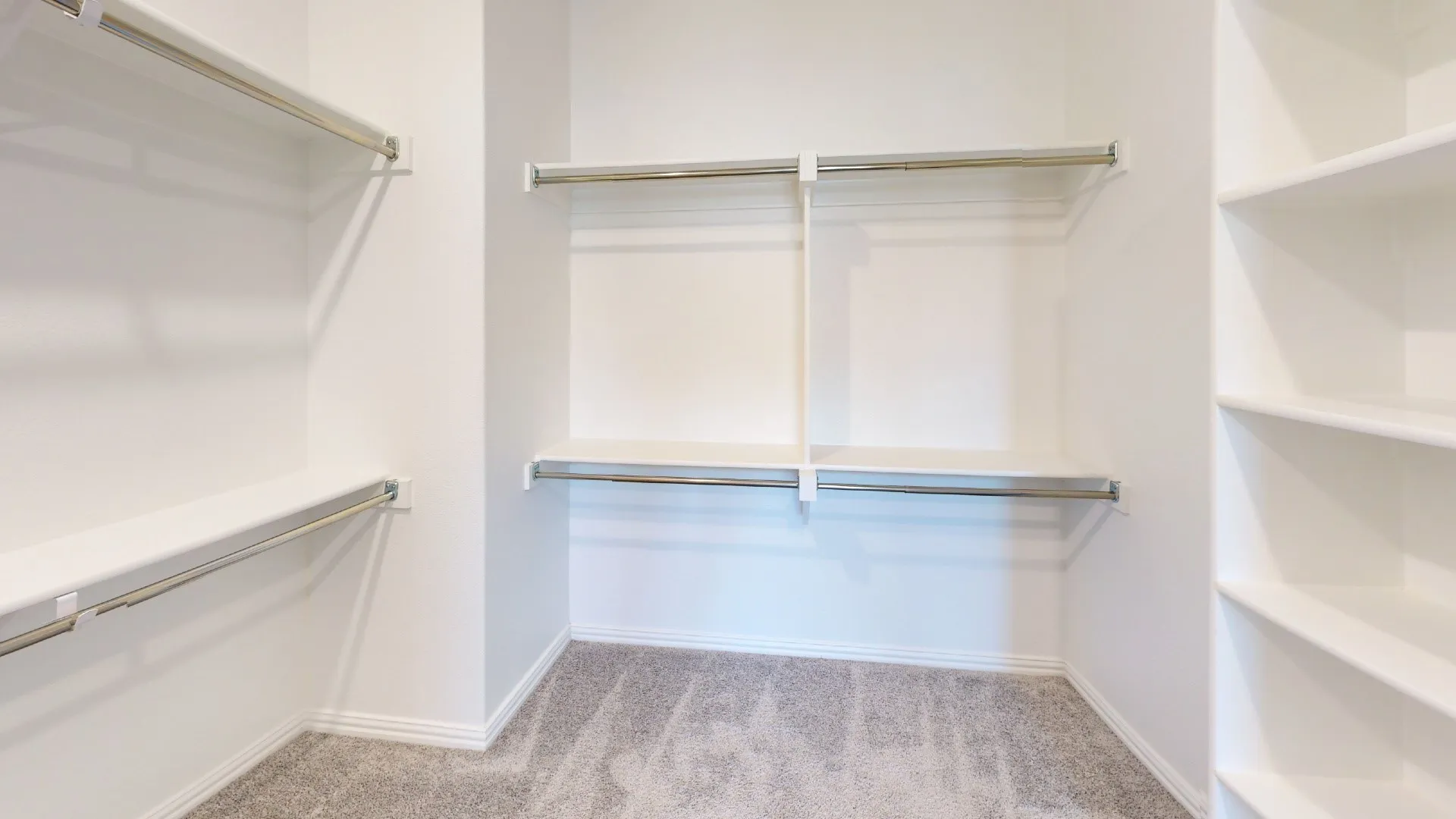 Built-in shelving, hanging rods, and carpet flooring