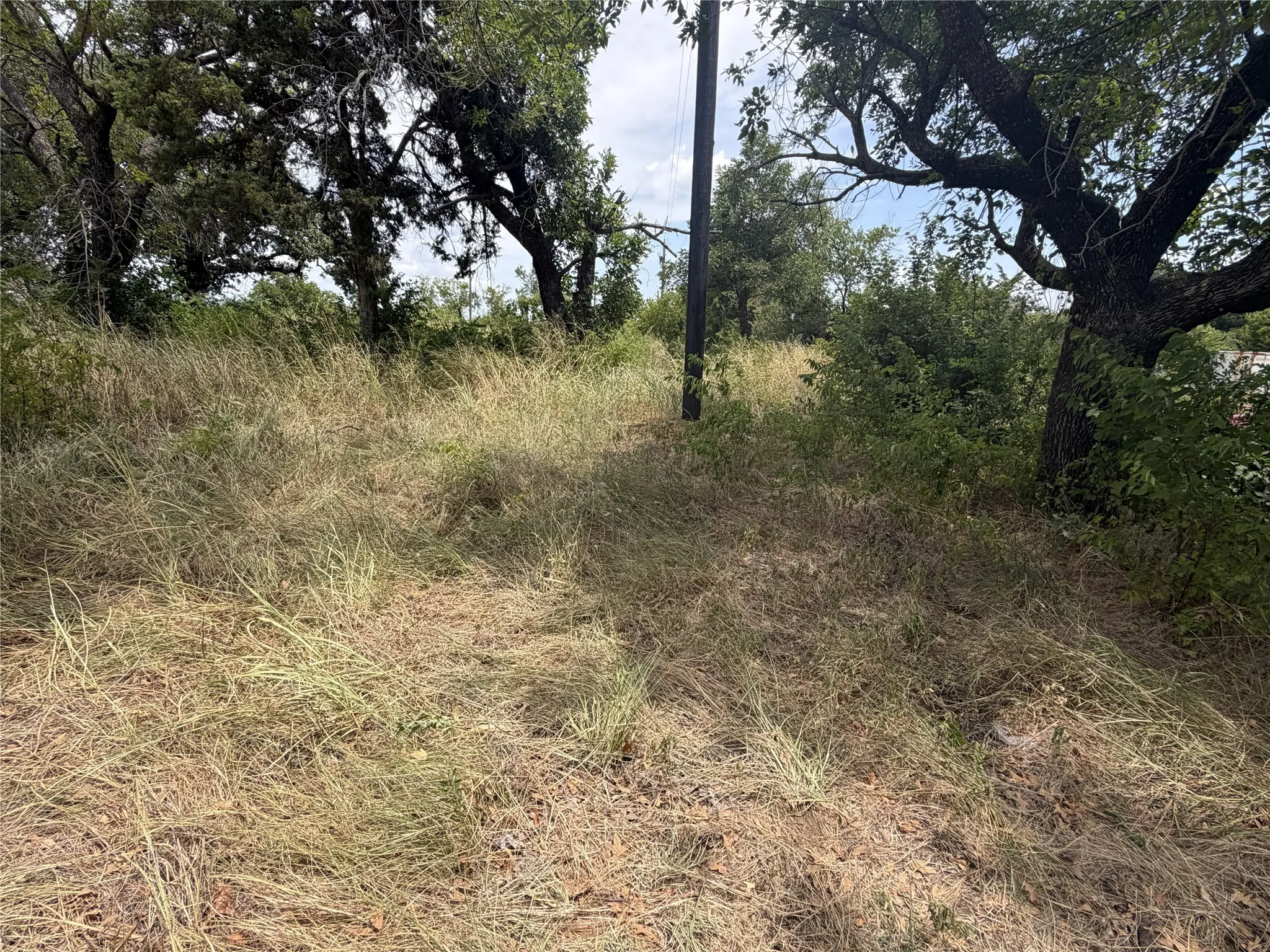 Undeveloped land featuring mature trees and natural vegetation