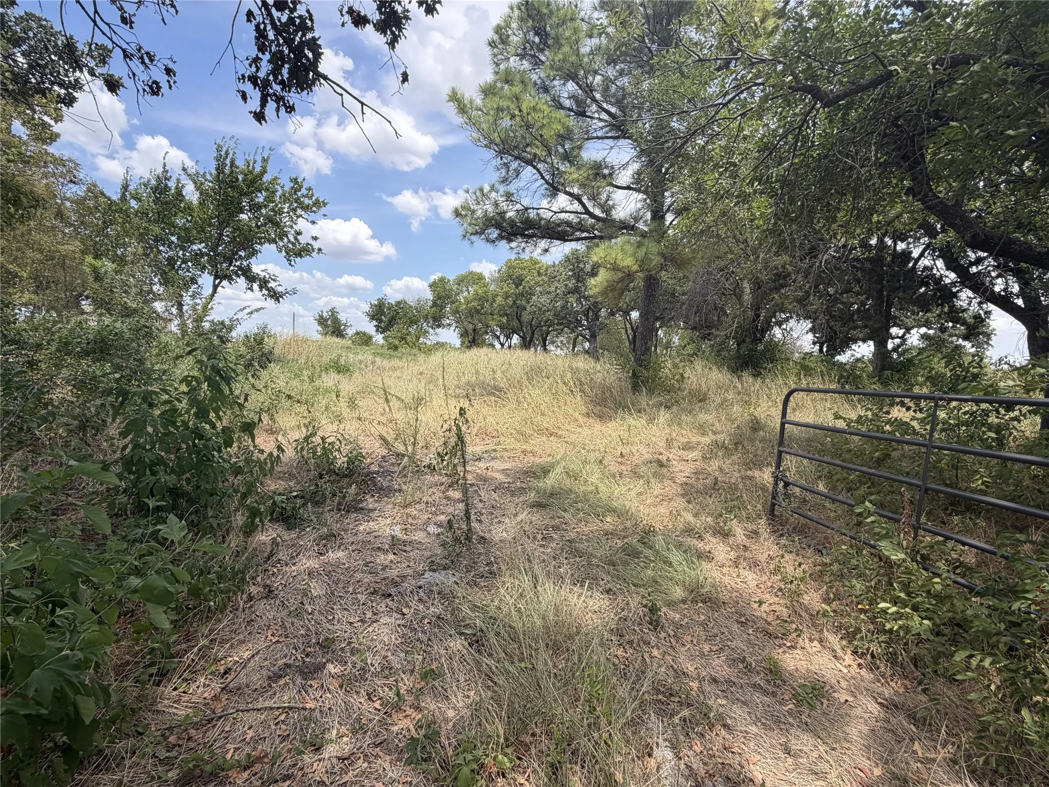 Improved Land For Sale in Montague County , TBD Upper Montague Road, Bowie, Texas 76230, 0, 0, Garage spaces, 0 Sqft, built in 0, Price $215,000, mls#21356766, Real Estate Agent in Bowie, Homes For Sale in Montague county, Homes For Sale in Bowie, Realtor in Bowie Texas, Real Estate Brokerage Independent Realty Texas, Luminita Cordes Realtor