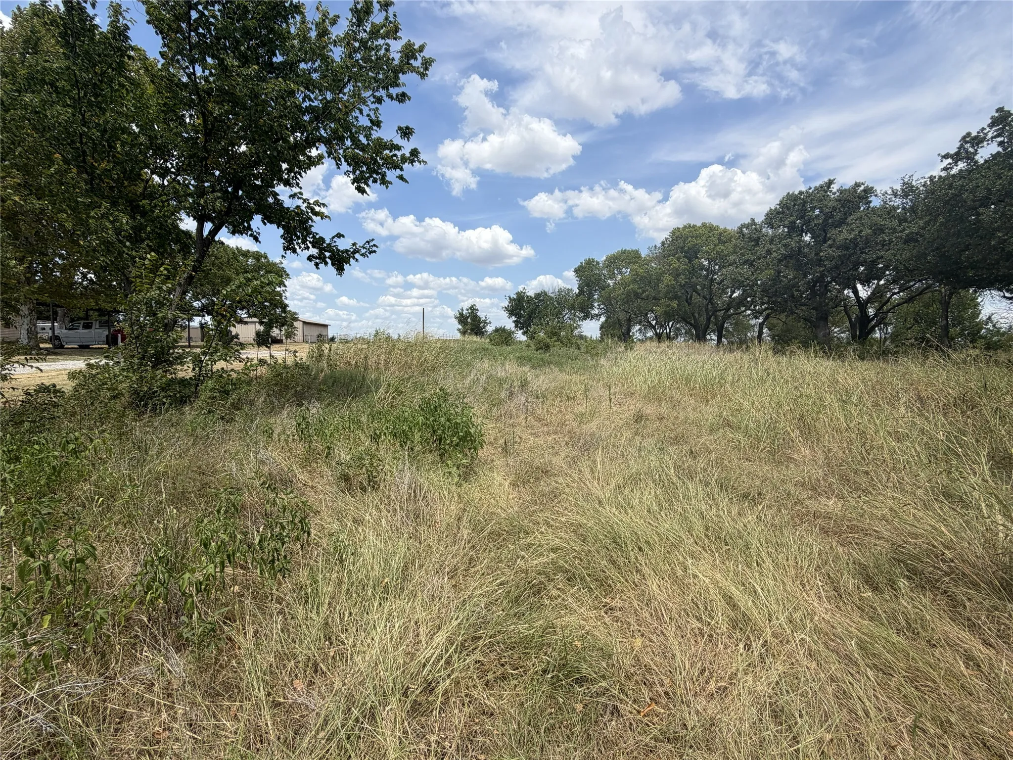 Expansive land parcel featuring natural grasses and mature trees