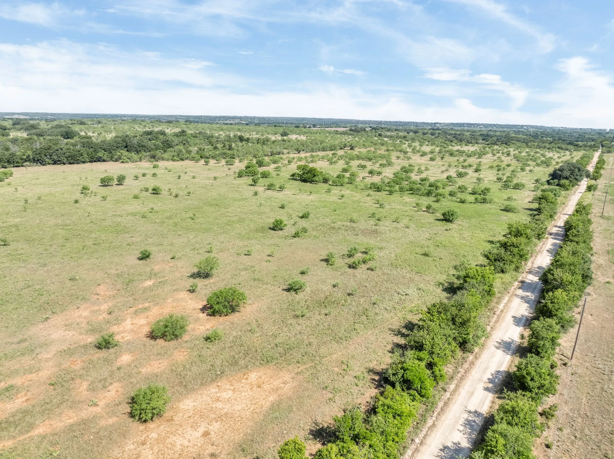 Expansive land parcel featuring a gravel road, abundant greenery, and mature trees