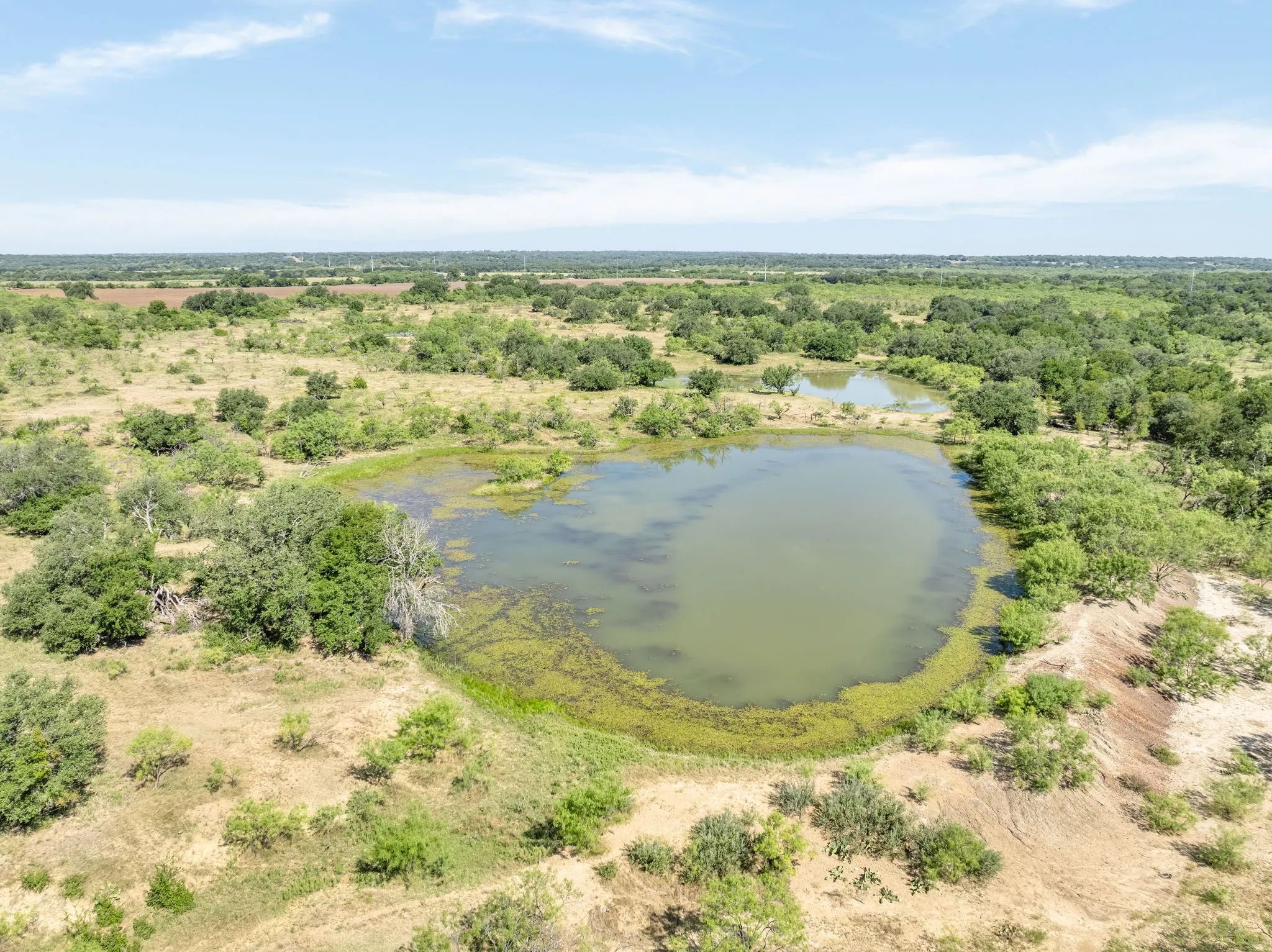 Scenic acreage featuring a natural pond surrounded by mature vegetation and expansive cleared land, offering pastoral landscape with mixed tree coverage and open grassland extending to the horizon
