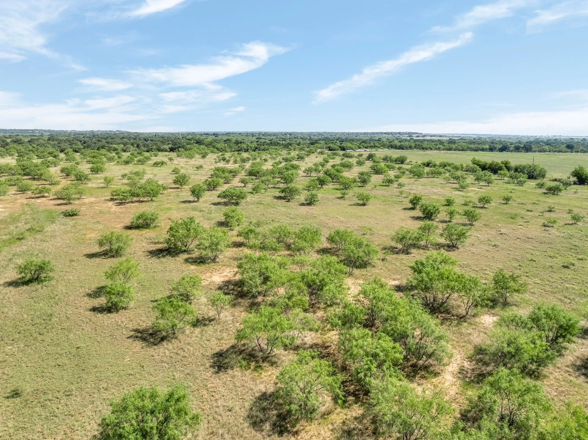 Ranch For Sale in Comanche County , 193 CR, Comanche, Texas 76442, 0, 0, Garage spaces, 0 Sqft, built in 0, Price $560,142, mls#21355388, Real Estate Agent in Comanche, Homes For Sale in Comanche county, Homes For Sale in Comanche, Realtor in Comanche Texas, Real Estate Brokerage Independent Realty Texas, Luminita Cordes Realtor