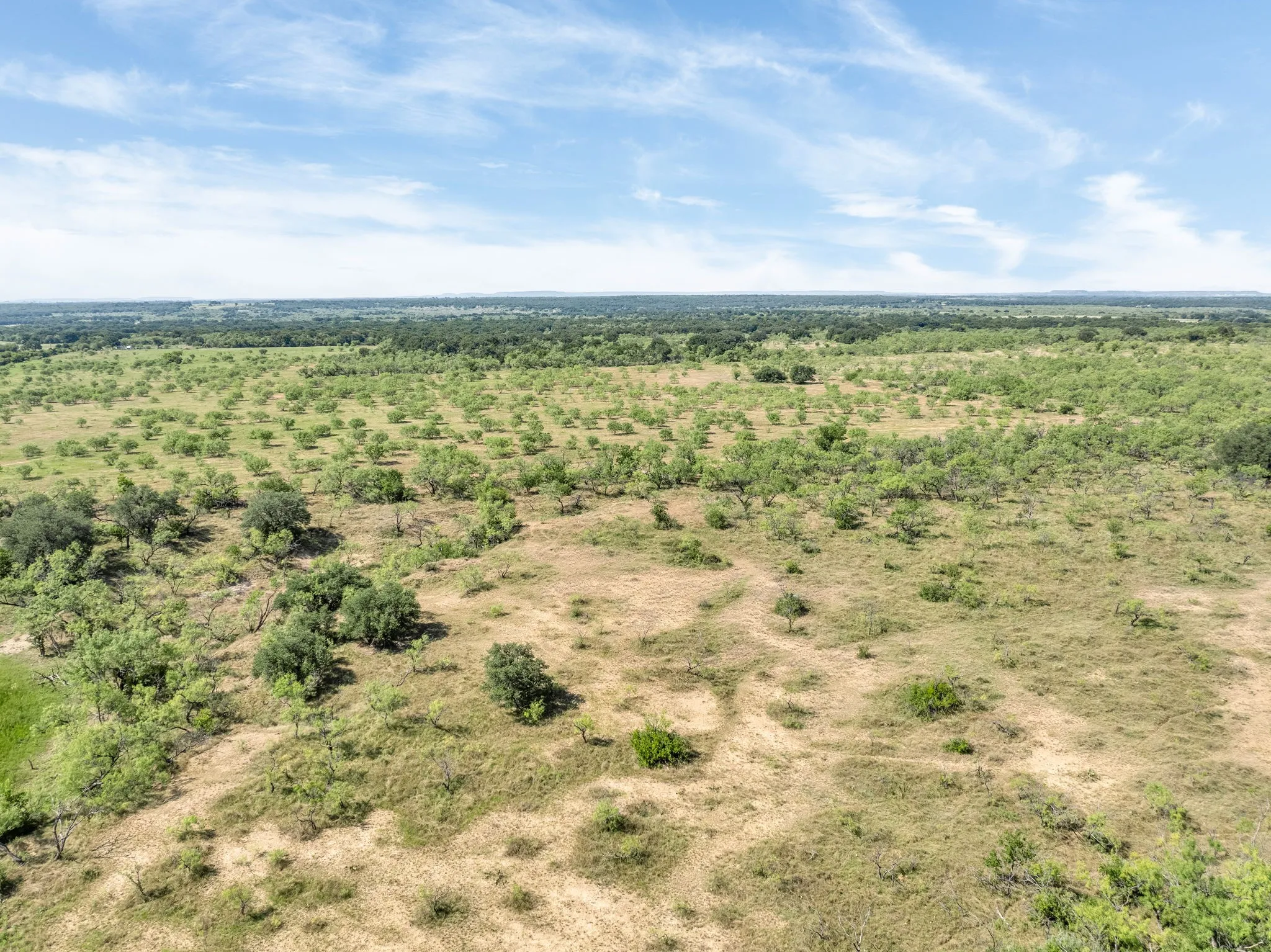 Expansive landscape featuring diverse tree coverage and natural vegetation