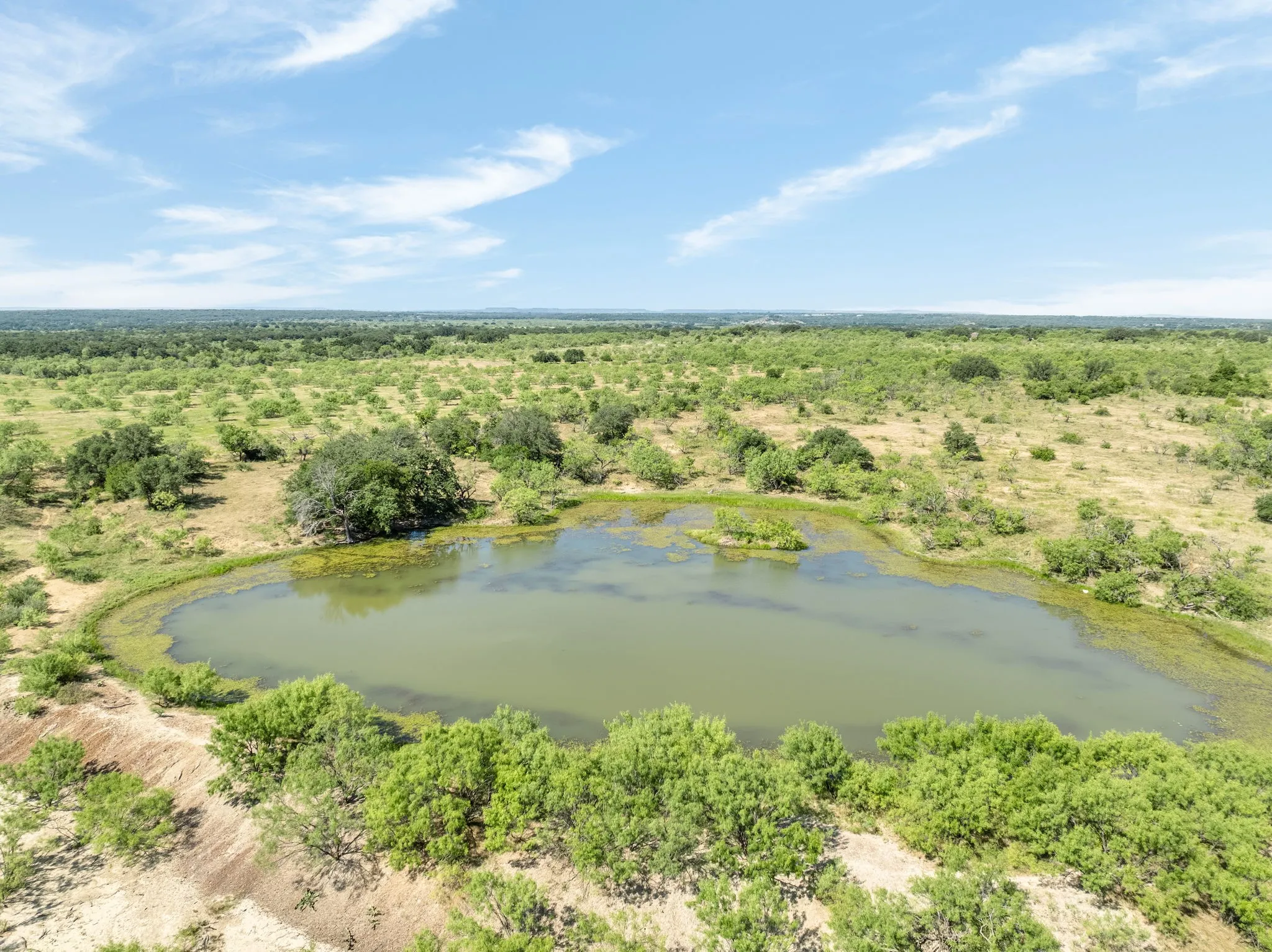 Expansive land featuring a natural pond, scattered trees, and diverse vegetation under a clear sky