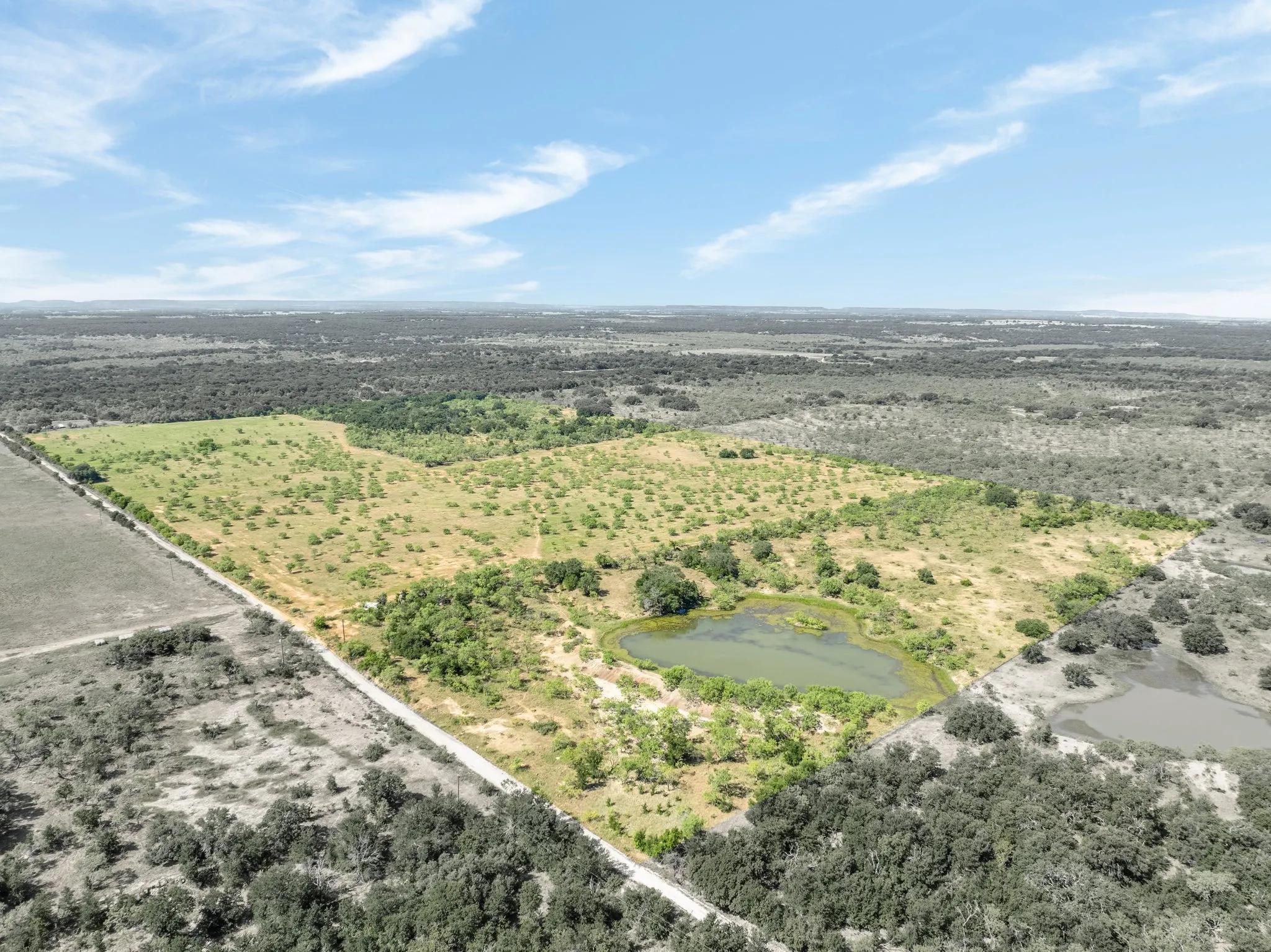 Expansive acreage featuring a natural pond, diverse tree coverage, and open clearings