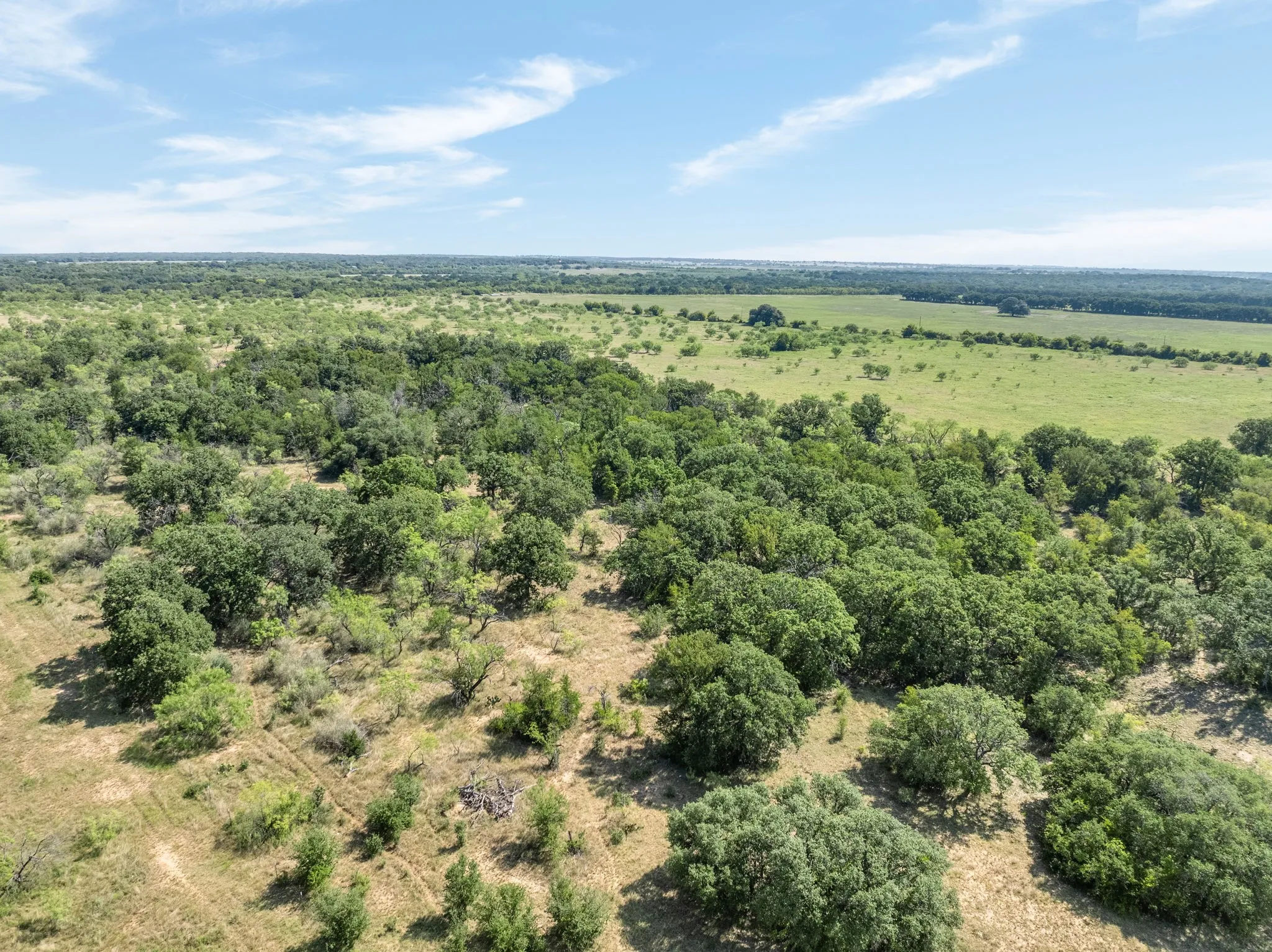 Expansive natural landscape featuring dense tree coverage and open grassy areas