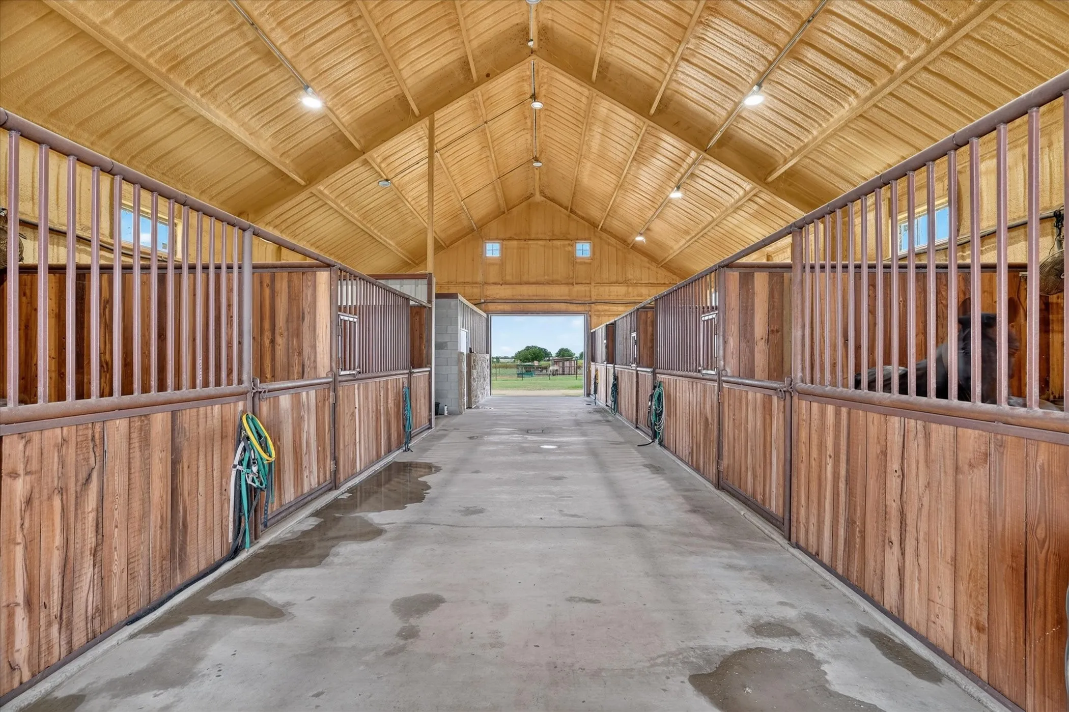 Ranch For Sale in Hood County , 2250 Campbell Road, Tolar, Texas 76476, 0, 0, Garage spaces, 0 Sqft, built in 2023, mls#21355651, Real Estate Agent in Tolar, Homes For Sale in Hood county, Homes For Sale in Tolar, Realtor in Tolar Texas, Real Estate Brokerage Independent Realty Texas, Luminita Cordes Realtor