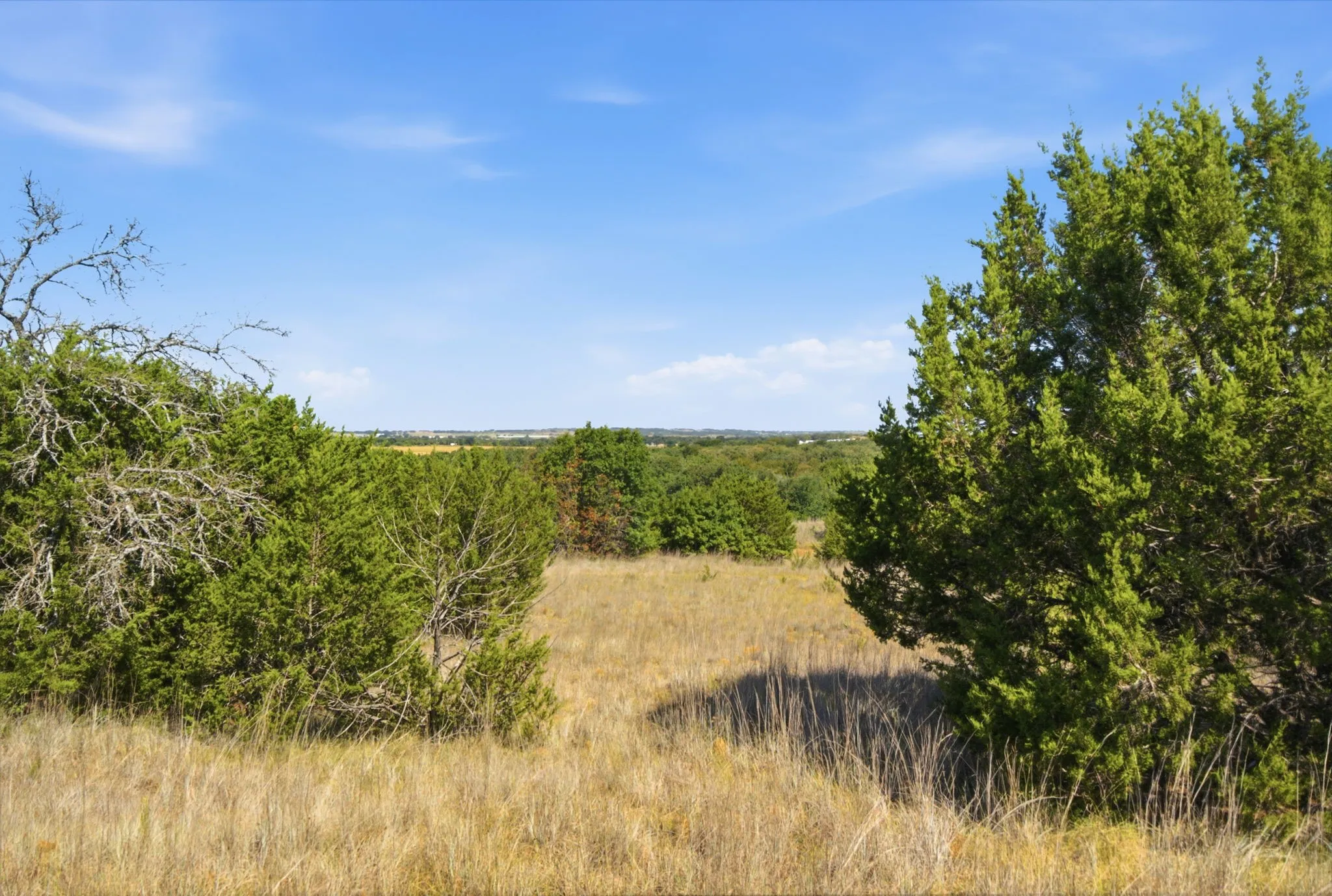 Farm For Sale in Erath County , 15075 Cr355, Dublin, Texas 76446, 2 Bedroom, 1 Bathroom, Garage spaces, 1,120 Sqft, built in 2005, Price $832,269, mls#21357474, Real Estate Agent in Dublin, Homes For Sale in Erath county, Homes For Sale in Dublin, Realtor in Dublin Texas, Real Estate Brokerage Independent Realty Texas, Luminita Cordes Realtor