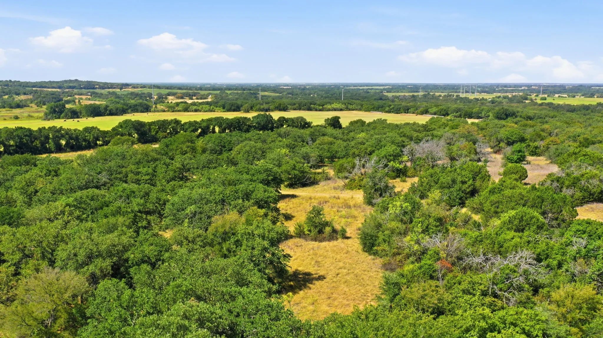 Farm For Sale in Erath County , 15075 Cr355, Dublin, Texas 76446, 2 Bedroom, 1 Bathroom, Garage spaces, 1,120 Sqft, built in 2005, Price $832,269, mls#21357474, Real Estate Agent in Dublin, Homes For Sale in Erath county, Homes For Sale in Dublin, Realtor in Dublin Texas, Real Estate Brokerage Independent Realty Texas, Luminita Cordes Realtor