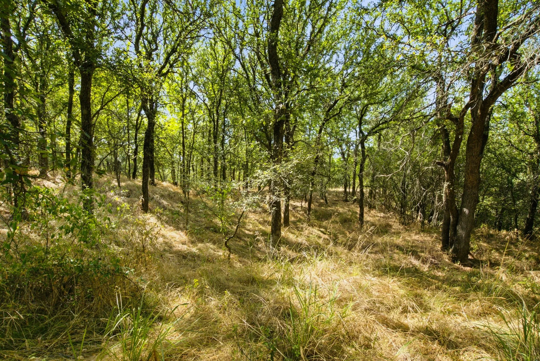 Farm For Sale in Erath County , 15075 Cr355, Dublin, Texas 76446, 2 Bedroom, 1 Bathroom, Garage spaces, 1,120 Sqft, built in 2005, Price $832,269, mls#21357474, Real Estate Agent in Dublin, Homes For Sale in Erath county, Homes For Sale in Dublin, Realtor in Dublin Texas, Real Estate Brokerage Independent Realty Texas, Luminita Cordes Realtor