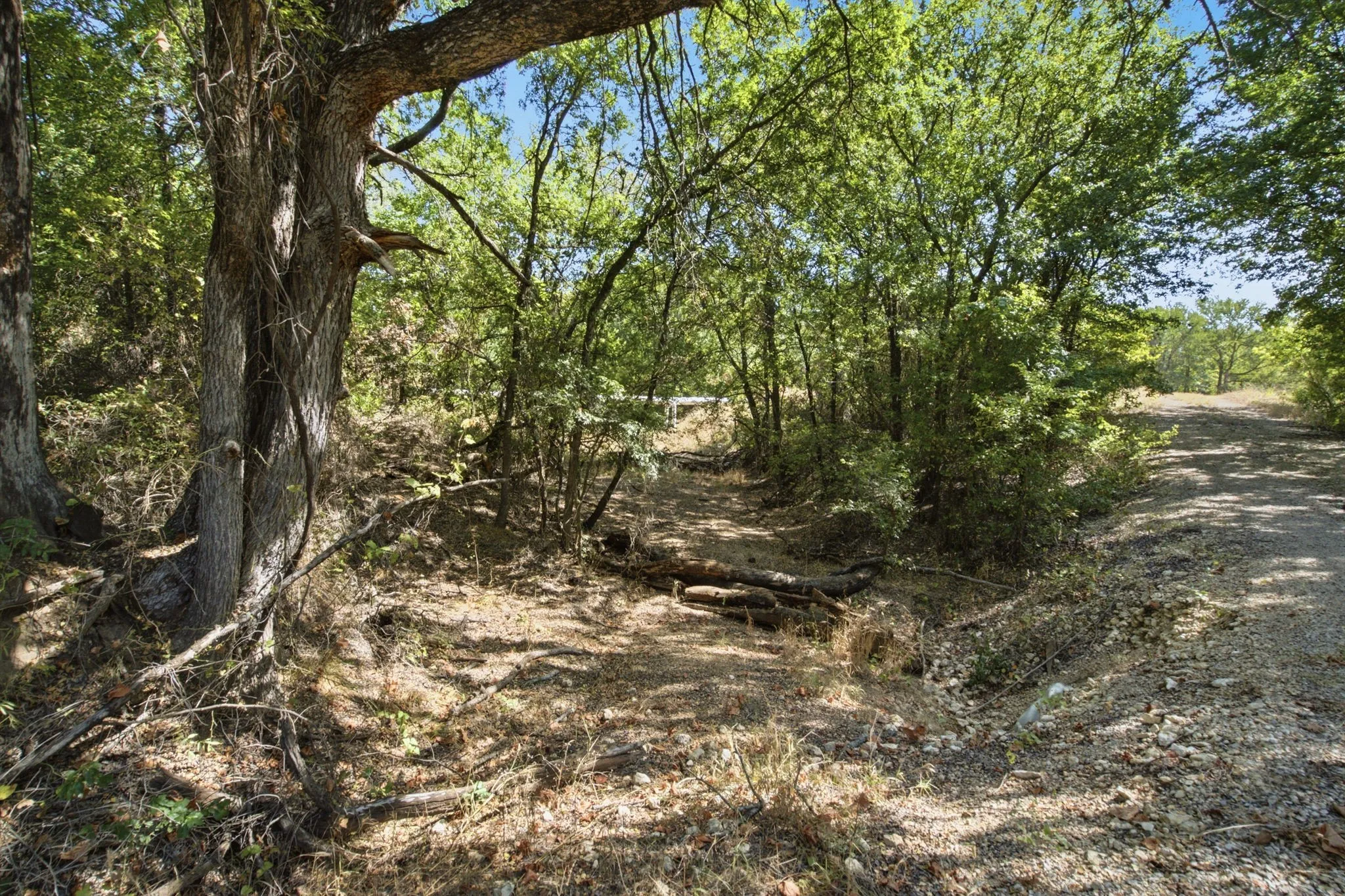 Farm For Sale in Erath County , 15075 Cr355, Dublin, Texas 76446, 2 Bedroom, 1 Bathroom, Garage spaces, 1,120 Sqft, built in 2005, Price $832,269, mls#21357474, Real Estate Agent in Dublin, Homes For Sale in Erath county, Homes For Sale in Dublin, Realtor in Dublin Texas, Real Estate Brokerage Independent Realty Texas, Luminita Cordes Realtor