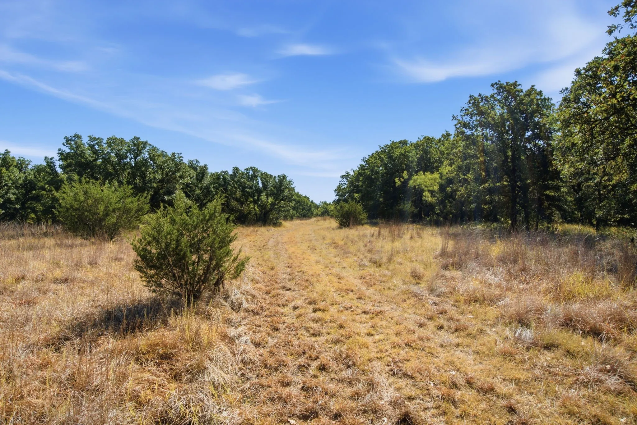 Farm For Sale in Erath County , 15075 Cr355, Dublin, Texas 76446, 2 Bedroom, 1 Bathroom, Garage spaces, 1,120 Sqft, built in 2005, Price $832,269, mls#21357474, Real Estate Agent in Dublin, Homes For Sale in Erath county, Homes For Sale in Dublin, Realtor in Dublin Texas, Real Estate Brokerage Independent Realty Texas, Luminita Cordes Realtor