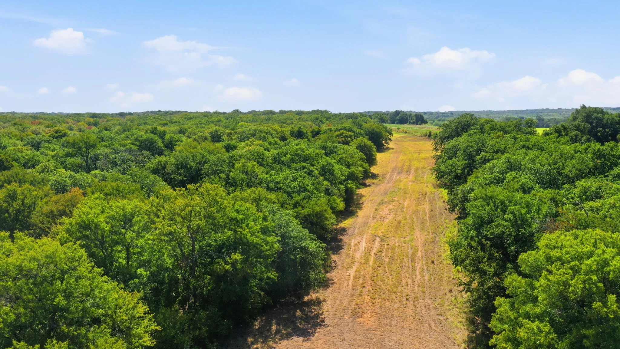 Farm For Sale in Erath County , 15075 Cr355, Dublin, Texas 76446, 2 Bedroom, 1 Bathroom, Garage spaces, 1,120 Sqft, built in 2005, Price $832,269, mls#21357474, Real Estate Agent in Dublin, Homes For Sale in Erath county, Homes For Sale in Dublin, Realtor in Dublin Texas, Real Estate Brokerage Independent Realty Texas, Luminita Cordes Realtor