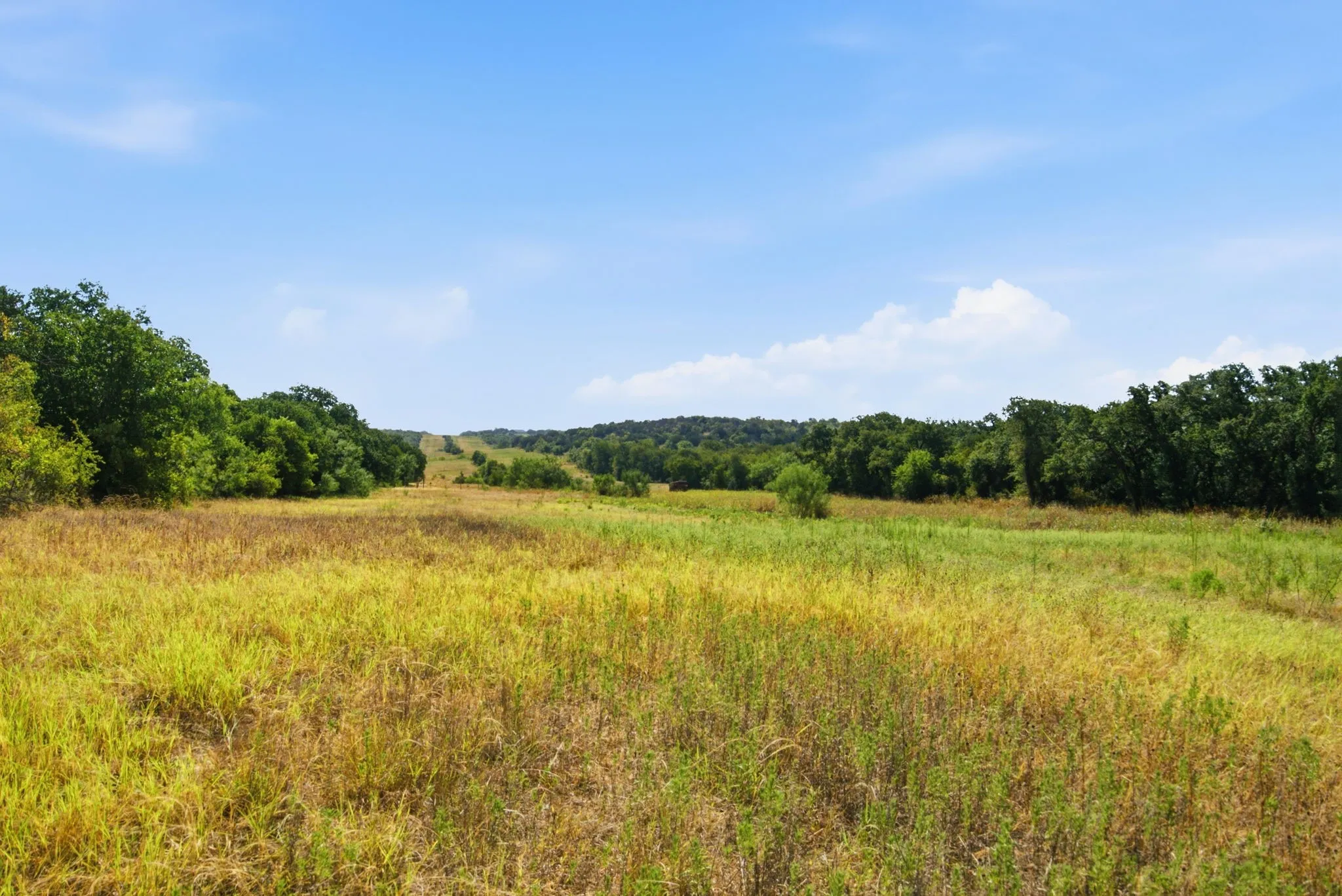 Farm For Sale in Erath County , 15075 Cr355, Dublin, Texas 76446, 2 Bedroom, 1 Bathroom, Garage spaces, 1,120 Sqft, built in 2005, Price $832,269, mls#21357474, Real Estate Agent in Dublin, Homes For Sale in Erath county, Homes For Sale in Dublin, Realtor in Dublin Texas, Real Estate Brokerage Independent Realty Texas, Luminita Cordes Realtor