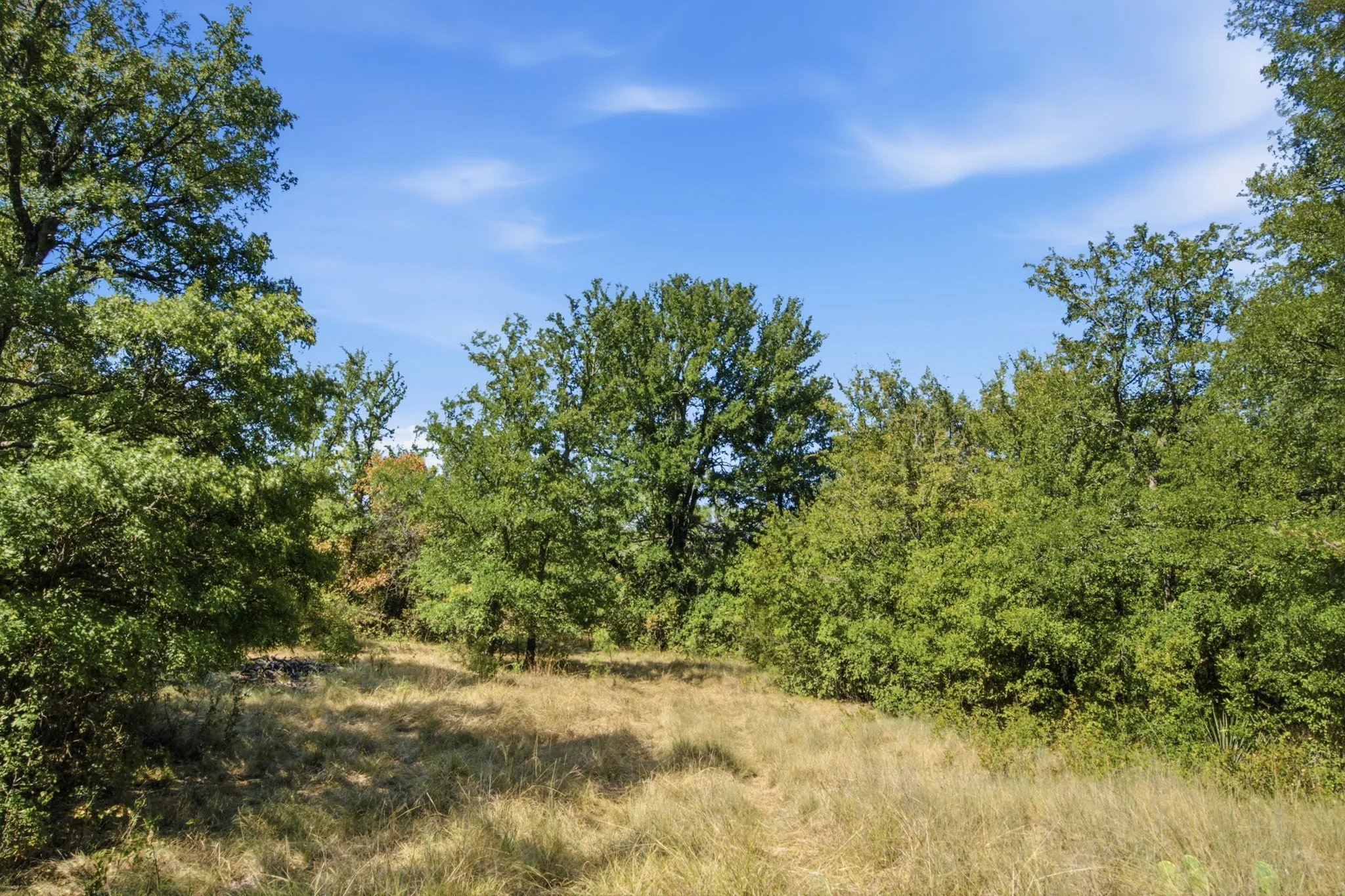 Farm For Sale in Erath County , 15075 Cr355, Dublin, Texas 76446, 2 Bedroom, 1 Bathroom, Garage spaces, 1,120 Sqft, built in 2005, Price $832,269, mls#21357474, Real Estate Agent in Dublin, Homes For Sale in Erath county, Homes For Sale in Dublin, Realtor in Dublin Texas, Real Estate Brokerage Independent Realty Texas, Luminita Cordes Realtor