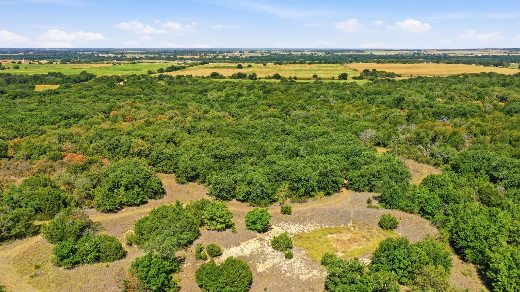 Farm For Sale in Erath County , 15075 Cr355, Dublin, Texas 76446, 2 Bedroom, 1 Bathroom, Garage spaces, 1,120 Sqft, built in 2005, Price $832,269, mls#21357474, Real Estate Agent in Dublin, Homes For Sale in Erath county, Homes For Sale in Dublin, Realtor in Dublin Texas, Real Estate Brokerage Independent Realty Texas, Luminita Cordes Realtor