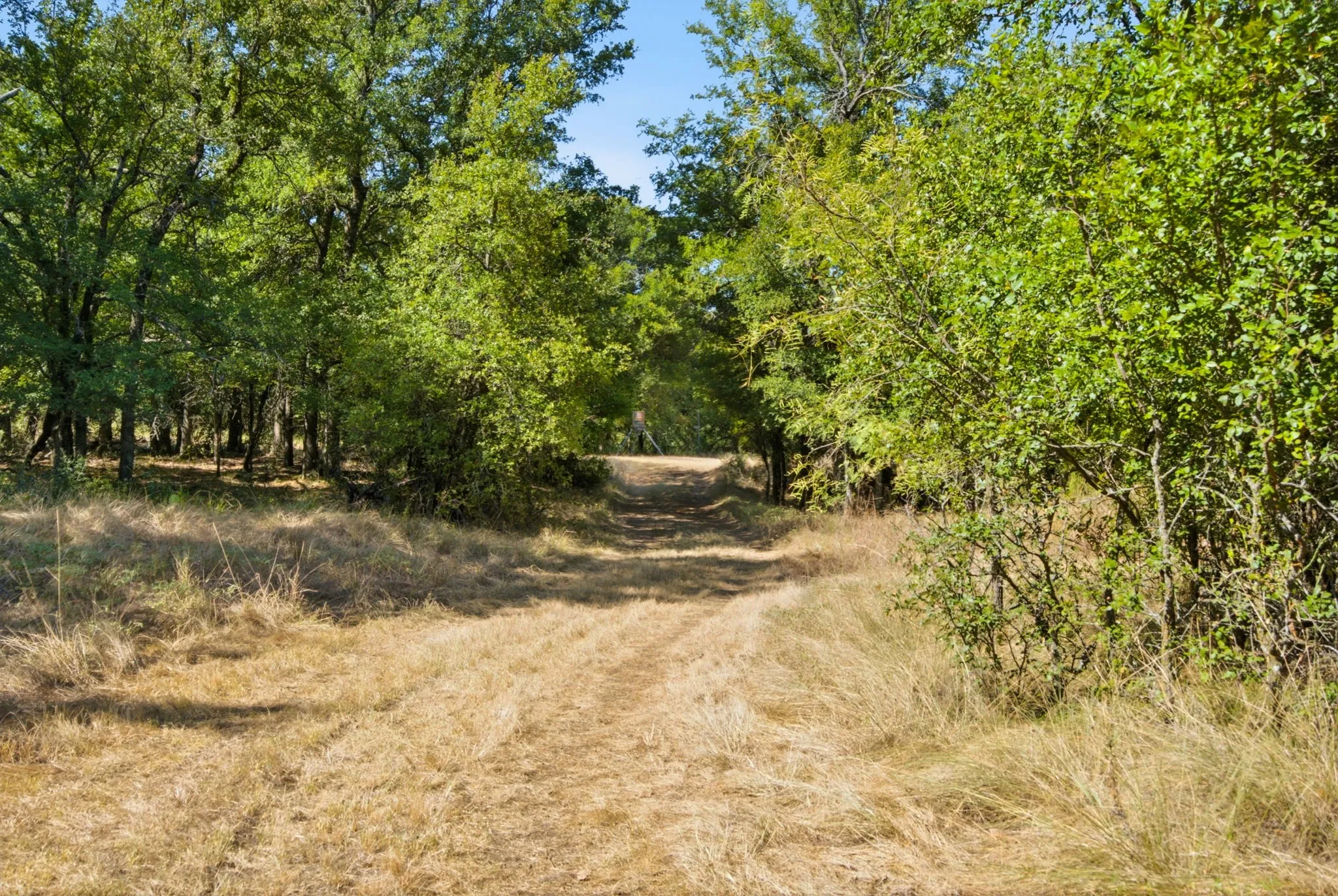 Farm For Sale in Erath County , 15075 Cr355, Dublin, Texas 76446, 2 Bedroom, 1 Bathroom, Garage spaces, 1,120 Sqft, built in 2005, Price $832,269, mls#21357474, Real Estate Agent in Dublin, Homes For Sale in Erath county, Homes For Sale in Dublin, Realtor in Dublin Texas, Real Estate Brokerage Independent Realty Texas, Luminita Cordes Realtor
