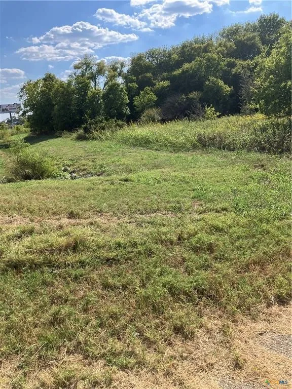 Unimproved Land For Sale in Bell County , 3202 S Central Avenue, Troy, Texas 76579, 0, 0, Garage spaces, 0 Sqft, built in 0, Price $273,500, mls#21357573, Real Estate Agent in Troy, Homes For Sale in Bell county, Homes For Sale in Troy, Realtor in Troy Texas, Real Estate Brokerage Independent Realty Texas, Luminita Cordes Realtor