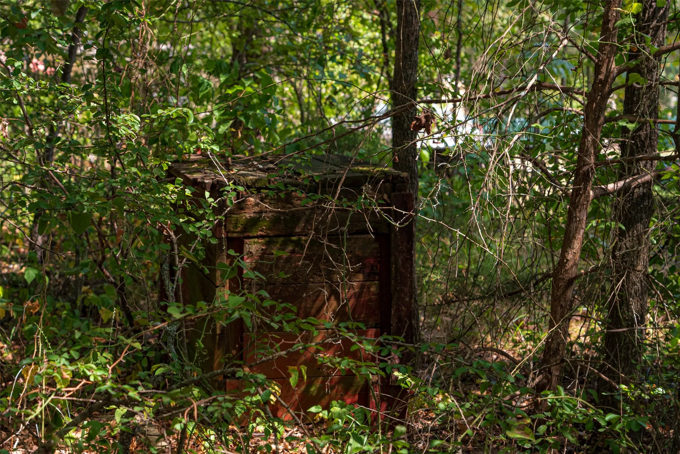 Improved Land For Sale in Henderson County , 11748 River Ranch Road, Kemp, Texas 75143, 0, 0, Garage spaces, 0 Sqft, built in 1986, mls#21357634, Real Estate Agent in Kemp, Homes For Sale in Henderson county, Homes For Sale in Kemp, Realtor in Kemp Texas, Real Estate Brokerage Independent Realty Texas, Luminita Cordes Realtor