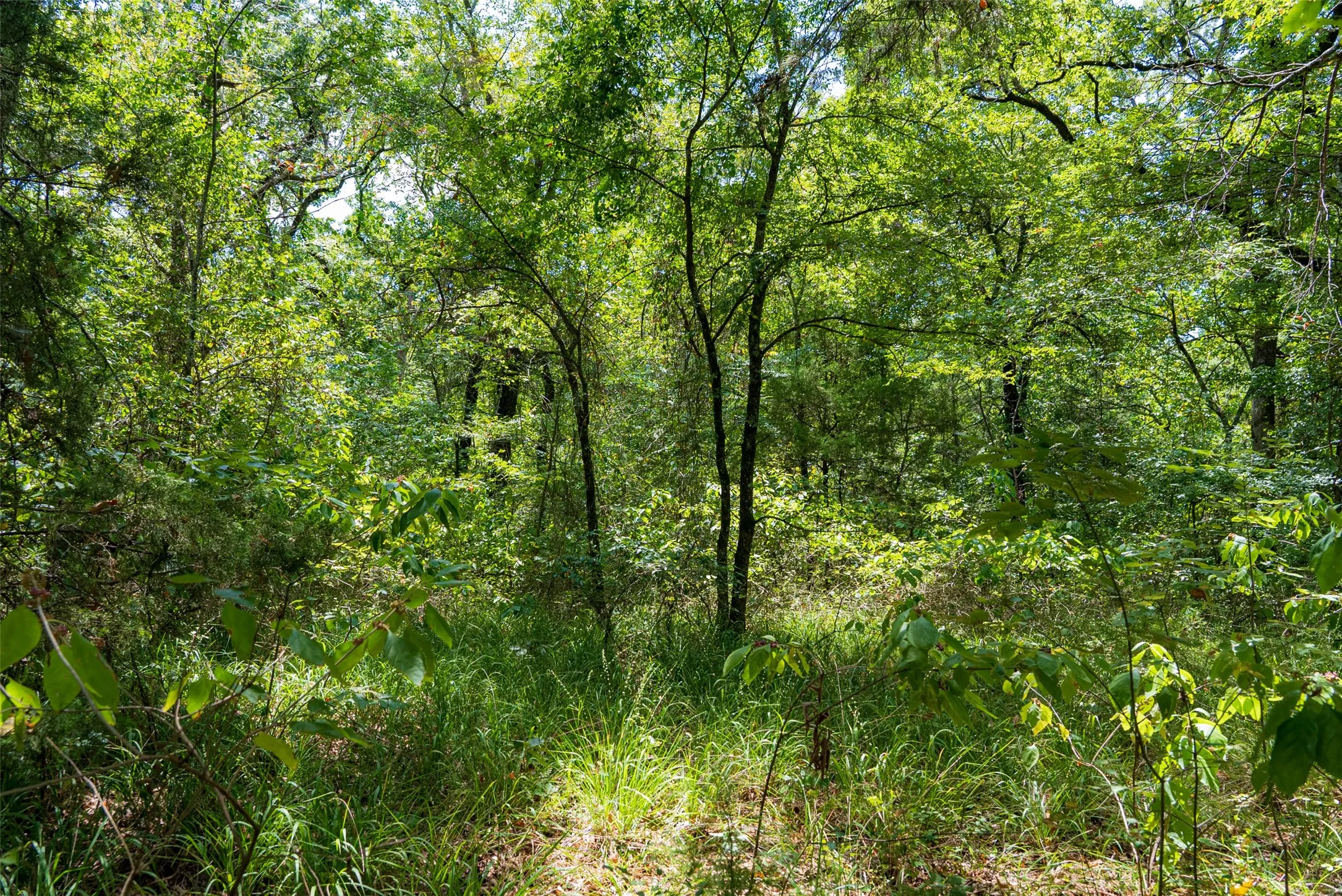 Improved Land For Sale in Henderson County , 11748 River Ranch Road, Kemp, Texas 75143, 0, 0, Garage spaces, 0 Sqft, built in 1986, mls#21357634, Real Estate Agent in Kemp, Homes For Sale in Henderson county, Homes For Sale in Kemp, Realtor in Kemp Texas, Real Estate Brokerage Independent Realty Texas, Luminita Cordes Realtor