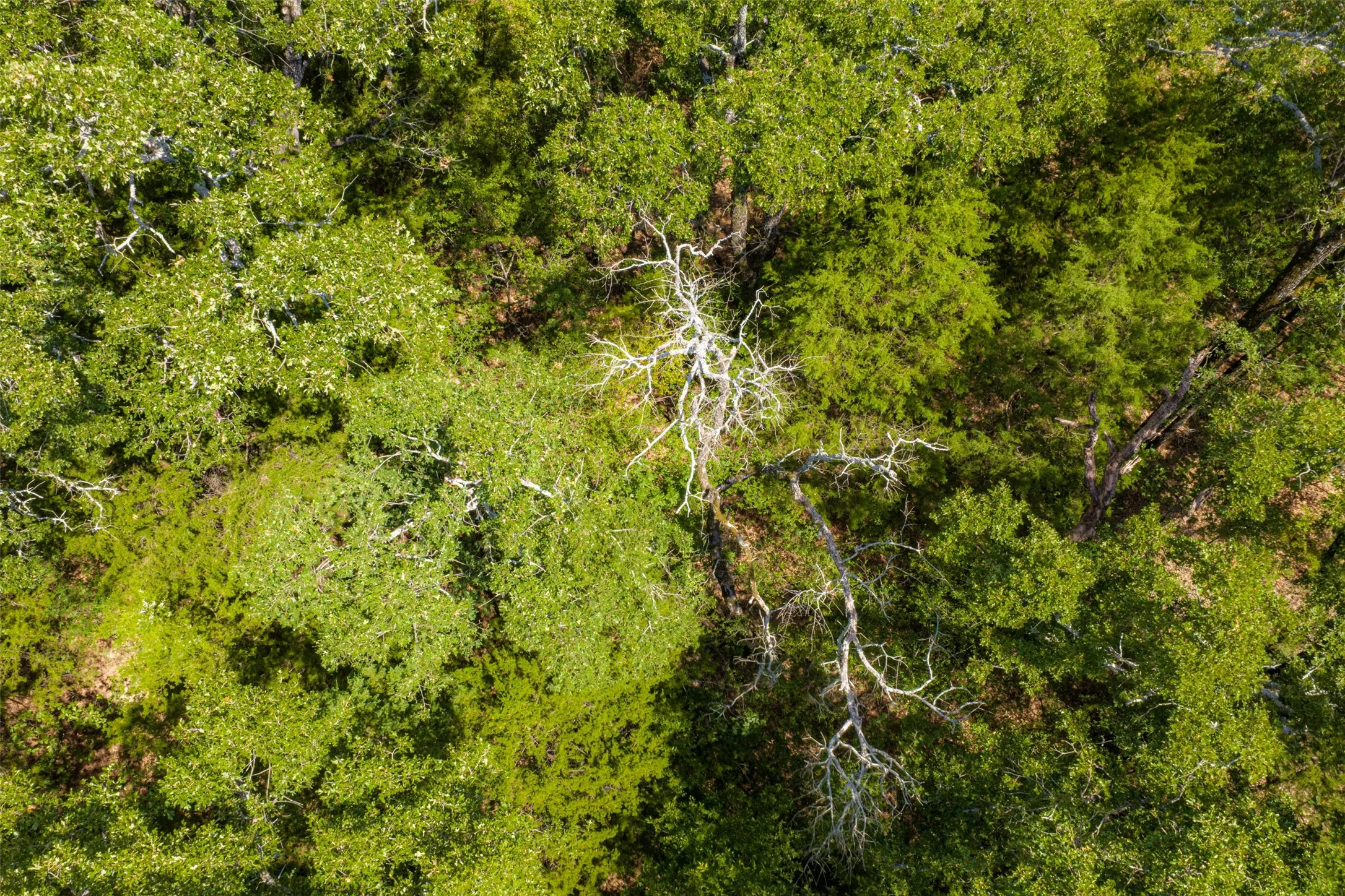Improved Land For Sale in Henderson County , 11748 River Ranch Road, Kemp, Texas 75143, 0, 0, Garage spaces, 0 Sqft, built in 1986, mls#21357634, Real Estate Agent in Kemp, Homes For Sale in Henderson county, Homes For Sale in Kemp, Realtor in Kemp Texas, Real Estate Brokerage Independent Realty Texas, Luminita Cordes Realtor