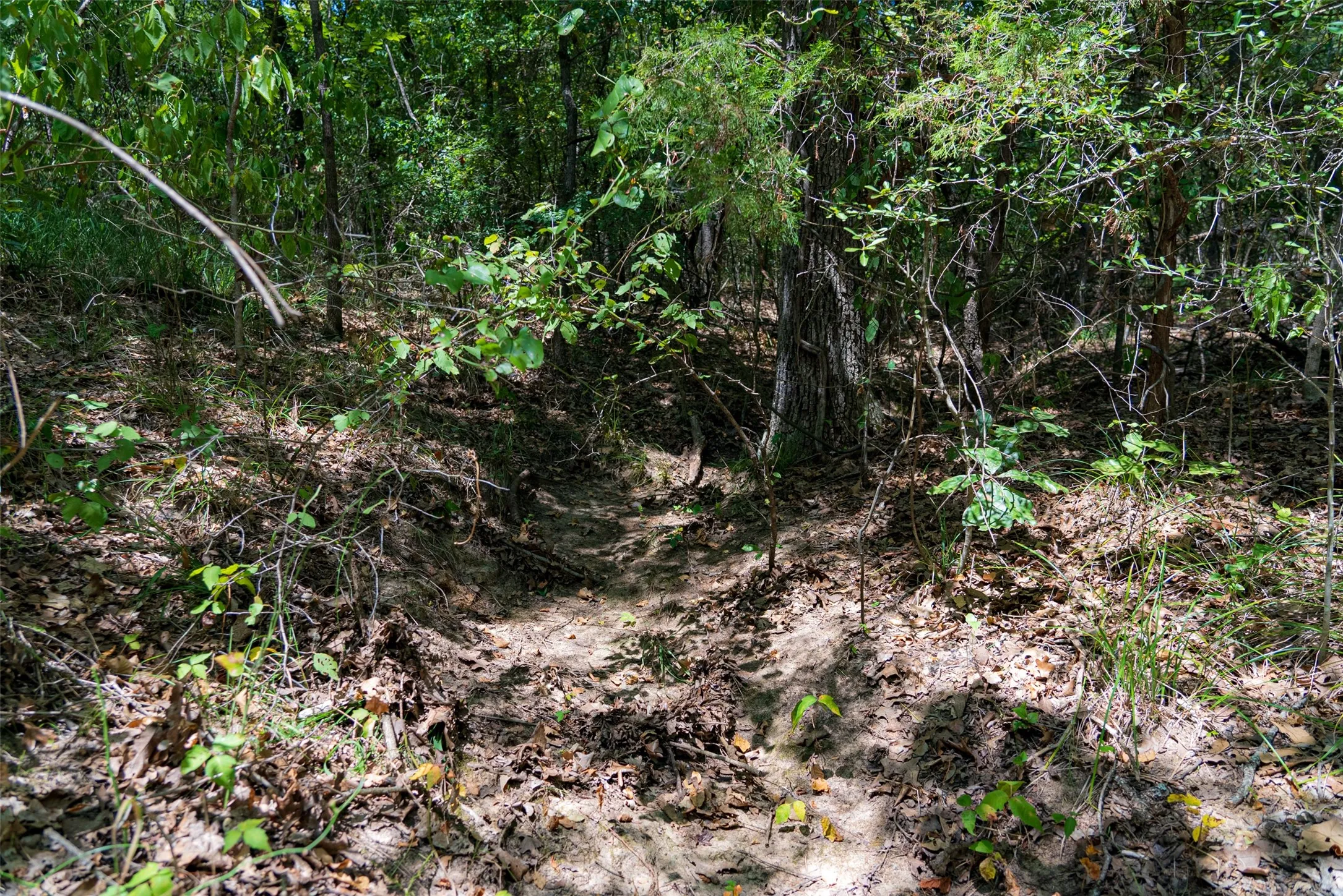 Improved Land For Sale in Henderson County , 11748 River Ranch Road, Kemp, Texas 75143, 0, 0, Garage spaces, 0 Sqft, built in 1986, mls#21357634, Real Estate Agent in Kemp, Homes For Sale in Henderson county, Homes For Sale in Kemp, Realtor in Kemp Texas, Real Estate Brokerage Independent Realty Texas, Luminita Cordes Realtor