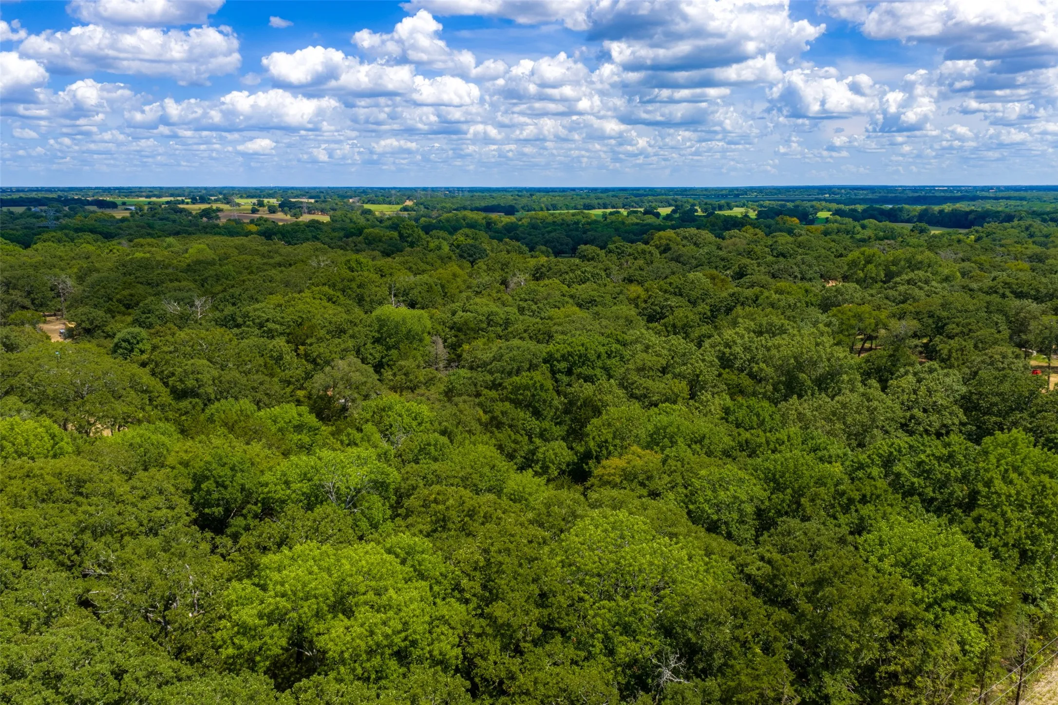 Improved Land For Sale in Henderson County , 11748 River Ranch Road, Kemp, Texas 75143, 0, 0, Garage spaces, 0 Sqft, built in 1986, mls#21357634, Real Estate Agent in Kemp, Homes For Sale in Henderson county, Homes For Sale in Kemp, Realtor in Kemp Texas, Real Estate Brokerage Independent Realty Texas, Luminita Cordes Realtor