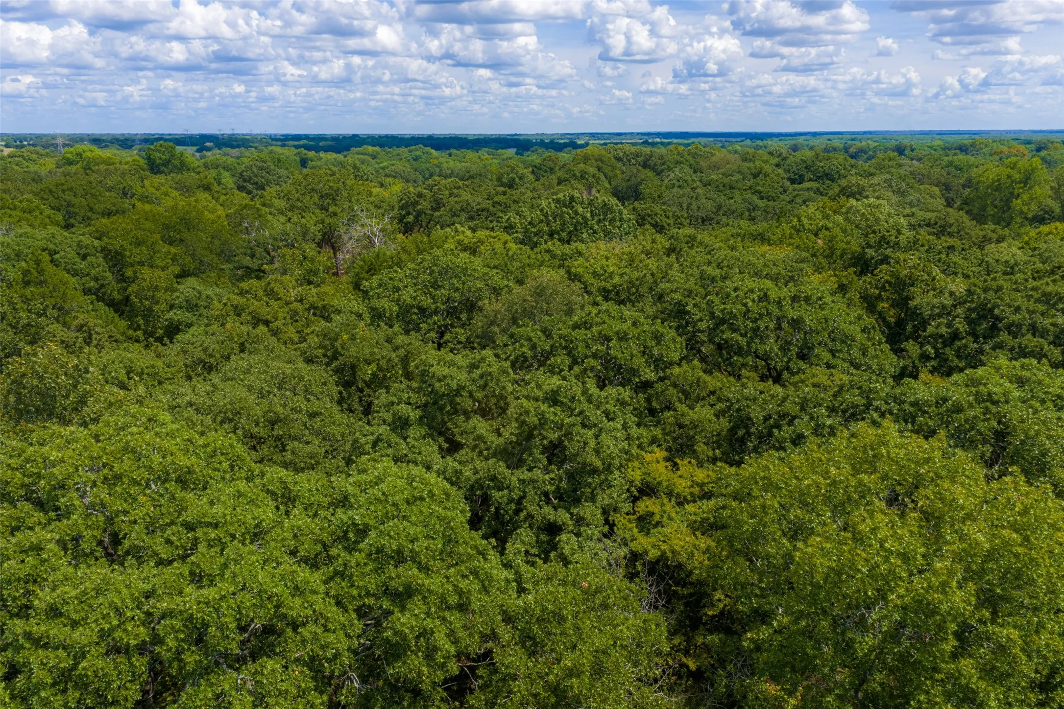 Improved Land For Sale in Henderson County , 11748 River Ranch Road, Kemp, Texas 75143, 0, 0, Garage spaces, 0 Sqft, built in 1986, mls#21357634, Real Estate Agent in Kemp, Homes For Sale in Henderson county, Homes For Sale in Kemp, Realtor in Kemp Texas, Real Estate Brokerage Independent Realty Texas, Luminita Cordes Realtor