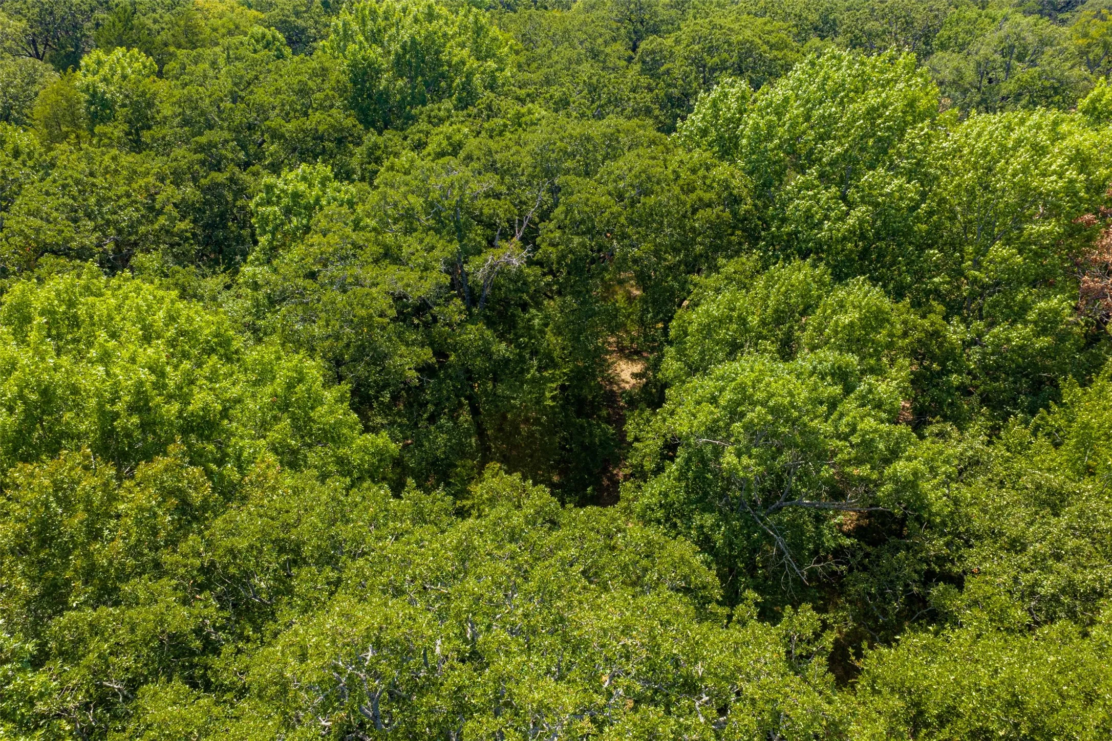 Improved Land For Sale in Henderson County , 11748 River Ranch Road, Kemp, Texas 75143, 0, 0, Garage spaces, 0 Sqft, built in 1986, mls#21357634, Real Estate Agent in Kemp, Homes For Sale in Henderson county, Homes For Sale in Kemp, Realtor in Kemp Texas, Real Estate Brokerage Independent Realty Texas, Luminita Cordes Realtor