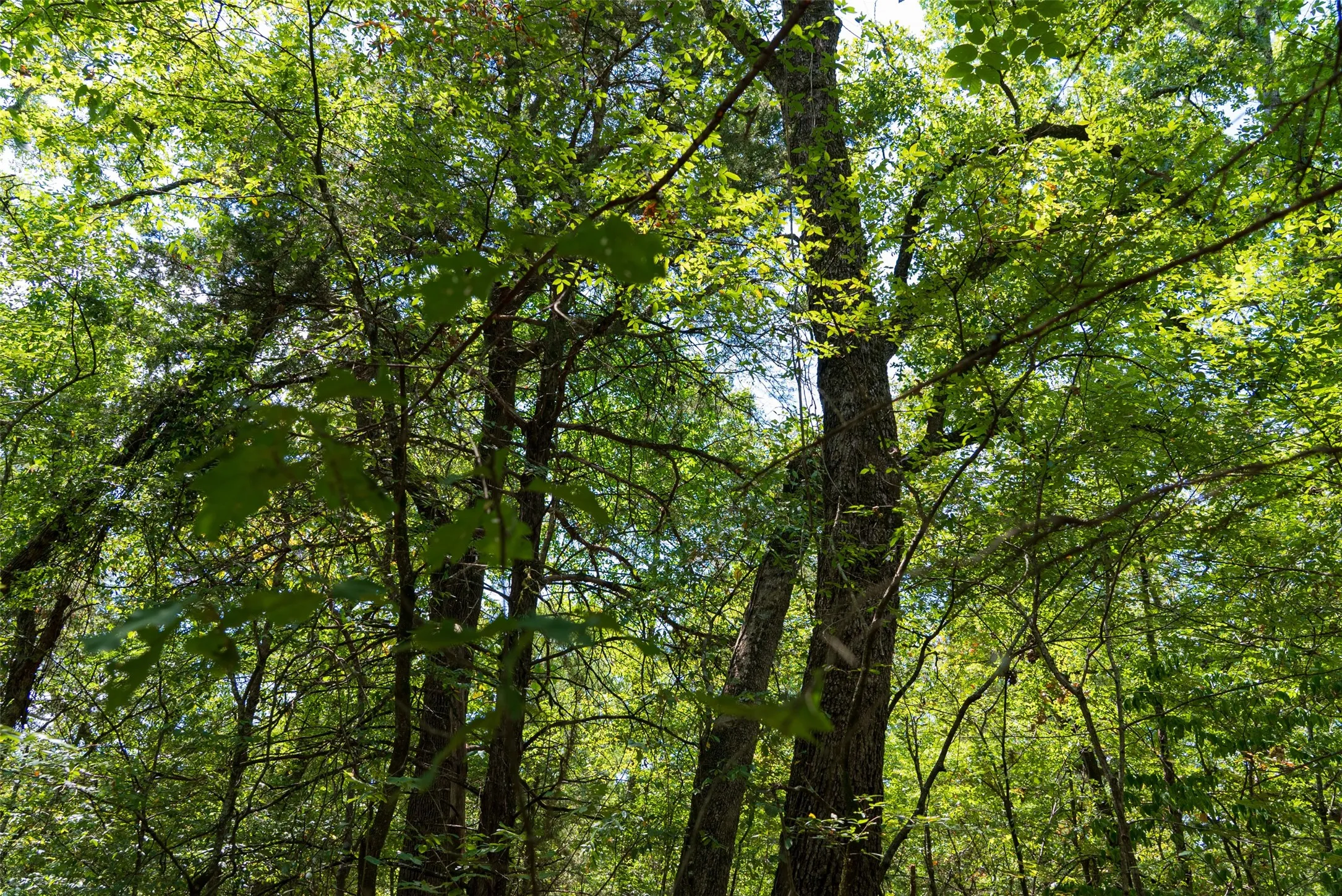 Improved Land For Sale in Henderson County , 11748 River Ranch Road, Kemp, Texas 75143, 0, 0, Garage spaces, 0 Sqft, built in 1986, mls#21357634, Real Estate Agent in Kemp, Homes For Sale in Henderson county, Homes For Sale in Kemp, Realtor in Kemp Texas, Real Estate Brokerage Independent Realty Texas, Luminita Cordes Realtor