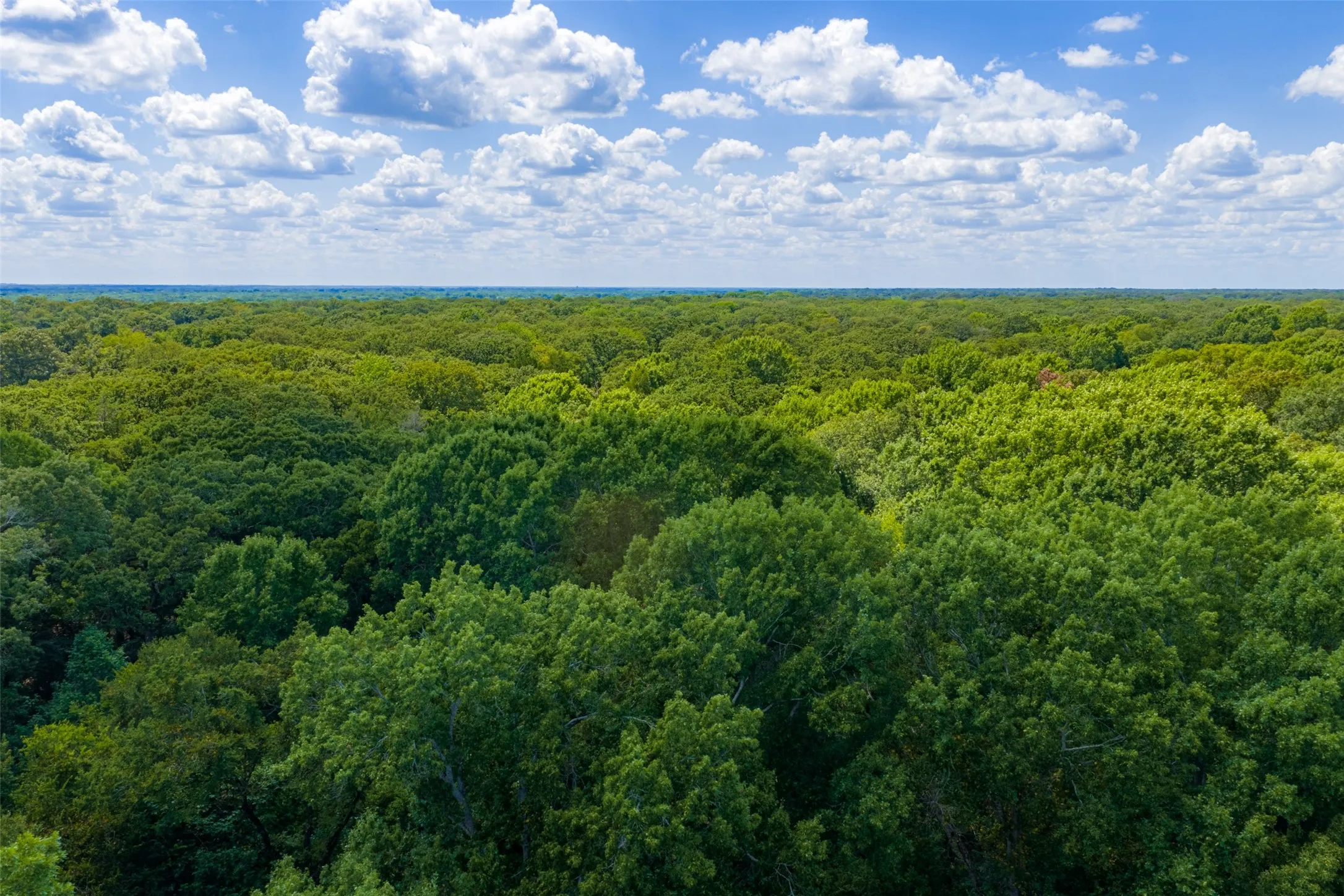 Improved Land For Sale in Henderson County , 11748 River Ranch Road, Kemp, Texas 75143, 0, 0, Garage spaces, 0 Sqft, built in 1986, mls#21357634, Real Estate Agent in Kemp, Homes For Sale in Henderson county, Homes For Sale in Kemp, Realtor in Kemp Texas, Real Estate Brokerage Independent Realty Texas, Luminita Cordes Realtor