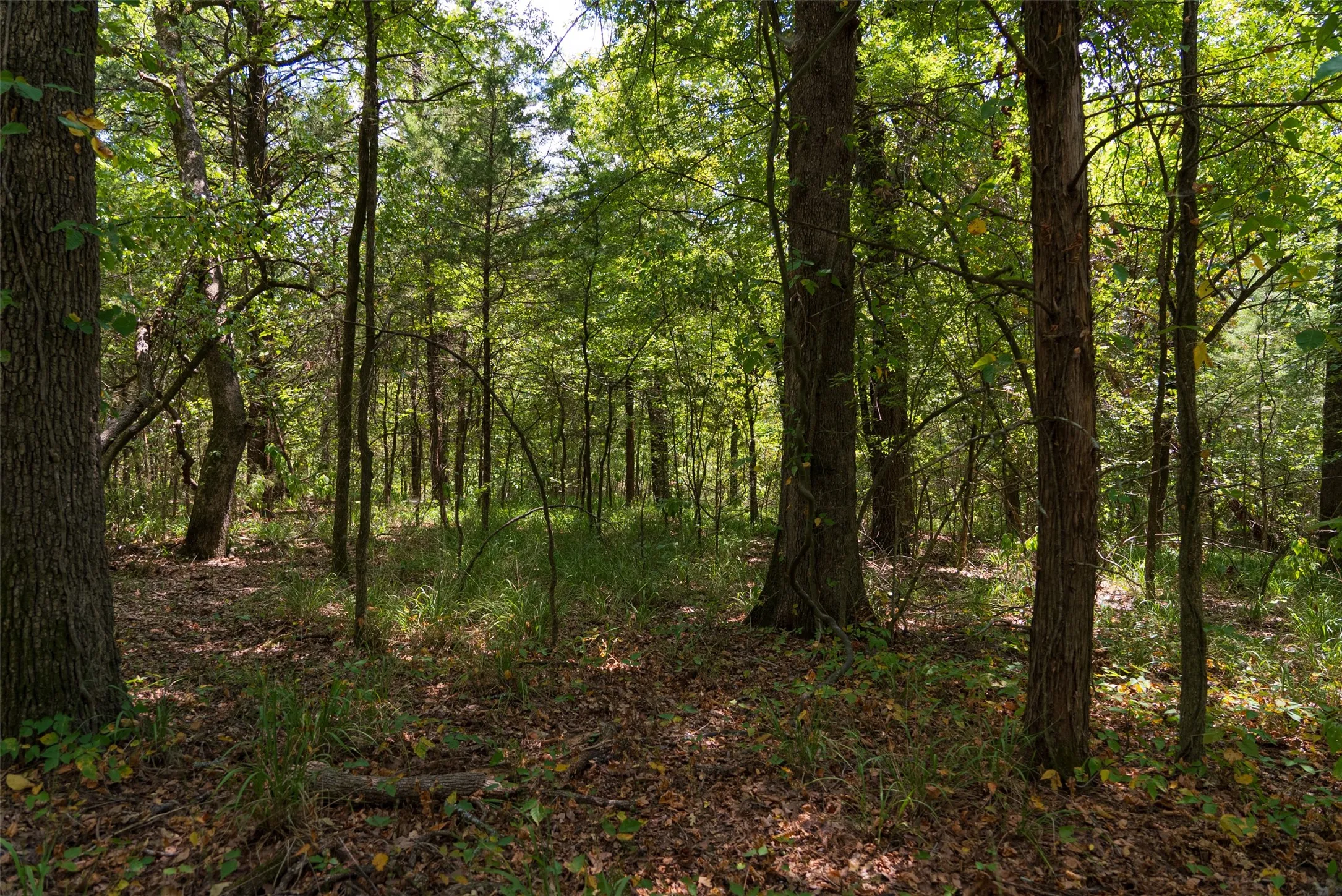 Improved Land For Sale in Henderson County , 11748 River Ranch Road, Kemp, Texas 75143, 0, 0, Garage spaces, 0 Sqft, built in 1986, mls#21357634, Real Estate Agent in Kemp, Homes For Sale in Henderson county, Homes For Sale in Kemp, Realtor in Kemp Texas, Real Estate Brokerage Independent Realty Texas, Luminita Cordes Realtor