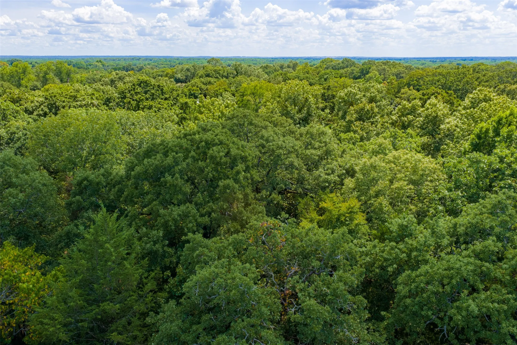 Improved Land For Sale in Henderson County , 11748 River Ranch Road, Kemp, Texas 75143, 0, 0, Garage spaces, 0 Sqft, built in 1986, mls#21357634, Real Estate Agent in Kemp, Homes For Sale in Henderson county, Homes For Sale in Kemp, Realtor in Kemp Texas, Real Estate Brokerage Independent Realty Texas, Luminita Cordes Realtor