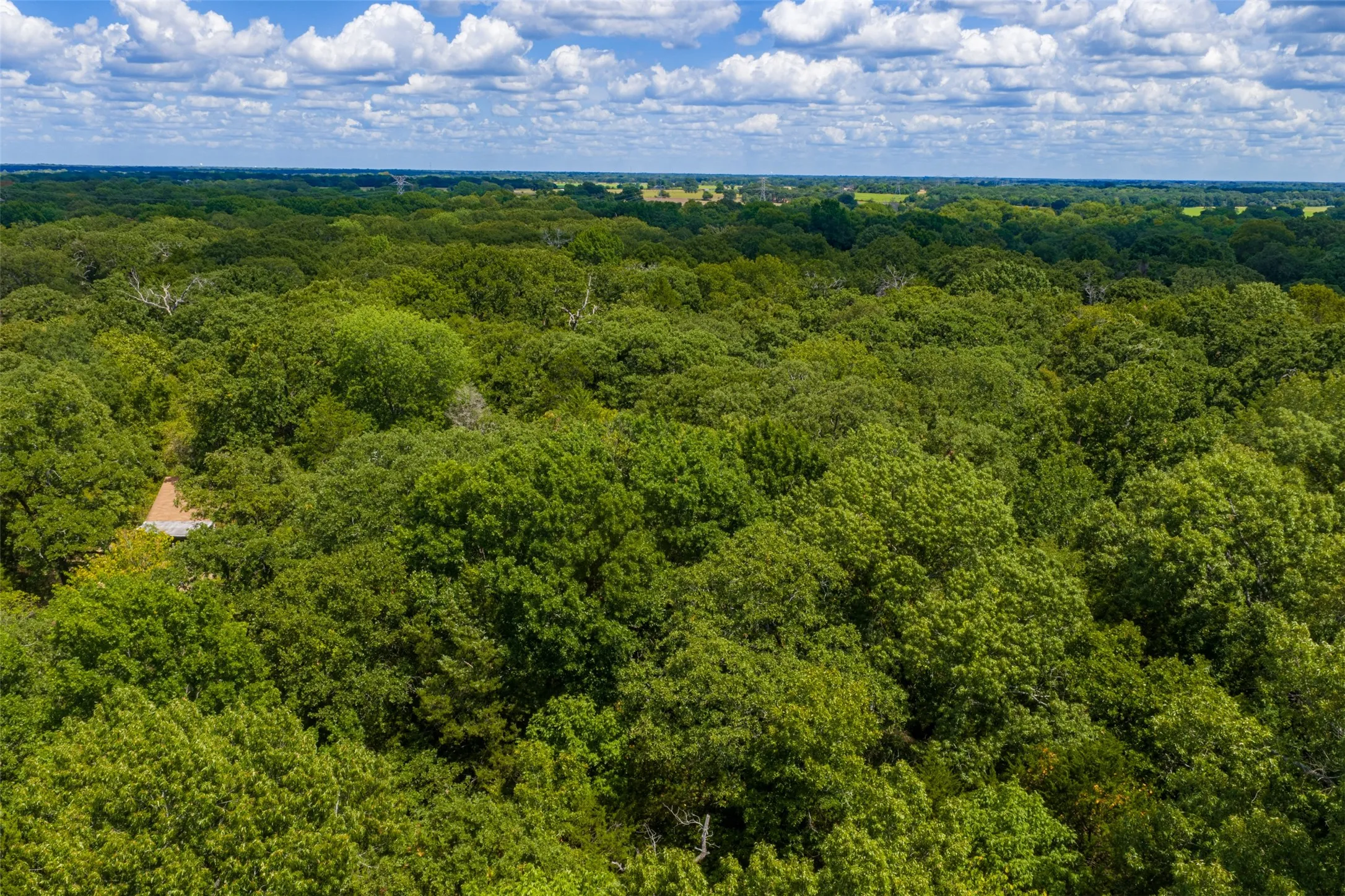 Improved Land For Sale in Henderson County , 11748 River Ranch Road, Kemp, Texas 75143, 0, 0, Garage spaces, 0 Sqft, built in 1986, mls#21357634, Real Estate Agent in Kemp, Homes For Sale in Henderson county, Homes For Sale in Kemp, Realtor in Kemp Texas, Real Estate Brokerage Independent Realty Texas, Luminita Cordes Realtor