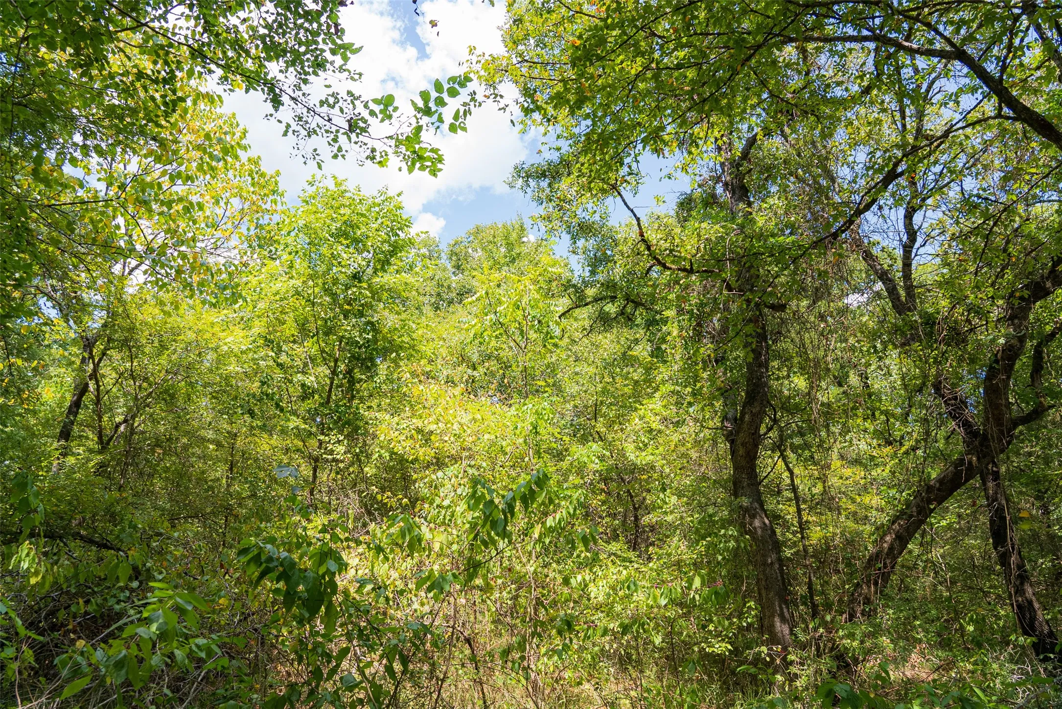 Improved Land For Sale in Henderson County , 11748 River Ranch Road, Kemp, Texas 75143, 0, 0, Garage spaces, 0 Sqft, built in 1986, mls#21357634, Real Estate Agent in Kemp, Homes For Sale in Henderson county, Homes For Sale in Kemp, Realtor in Kemp Texas, Real Estate Brokerage Independent Realty Texas, Luminita Cordes Realtor