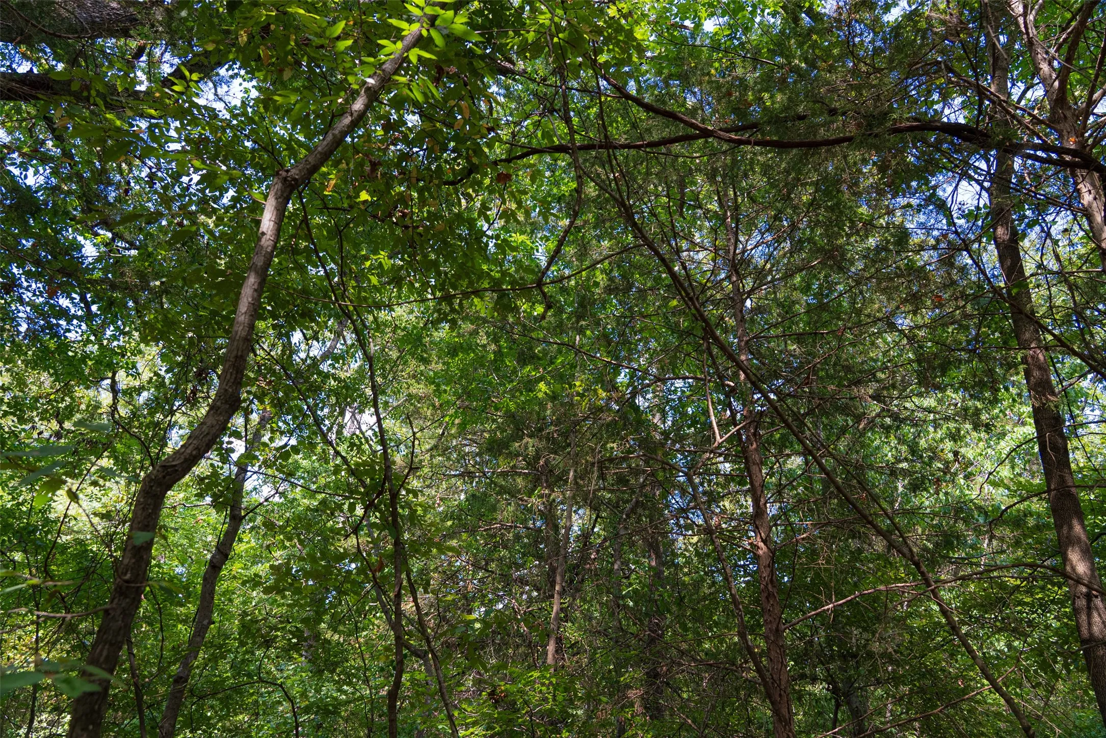 Improved Land For Sale in Henderson County , 11748 River Ranch Road, Kemp, Texas 75143, 0, 0, Garage spaces, 0 Sqft, built in 1986, mls#21357634, Real Estate Agent in Kemp, Homes For Sale in Henderson county, Homes For Sale in Kemp, Realtor in Kemp Texas, Real Estate Brokerage Independent Realty Texas, Luminita Cordes Realtor