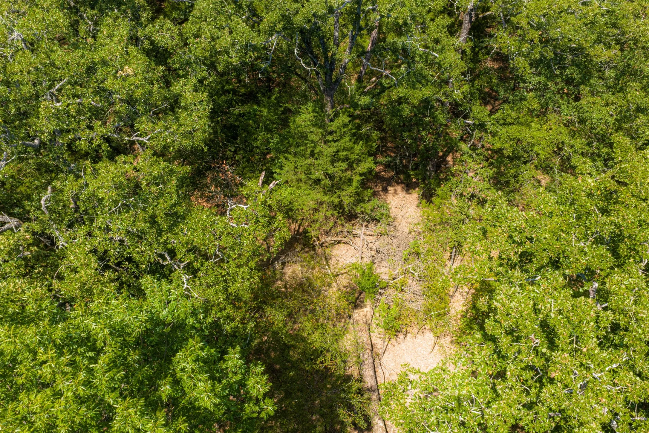 Improved Land For Sale in Henderson County , 11748 River Ranch Road, Kemp, Texas 75143, 0, 0, Garage spaces, 0 Sqft, built in 1986, mls#21357634, Real Estate Agent in Kemp, Homes For Sale in Henderson county, Homes For Sale in Kemp, Realtor in Kemp Texas, Real Estate Brokerage Independent Realty Texas, Luminita Cordes Realtor