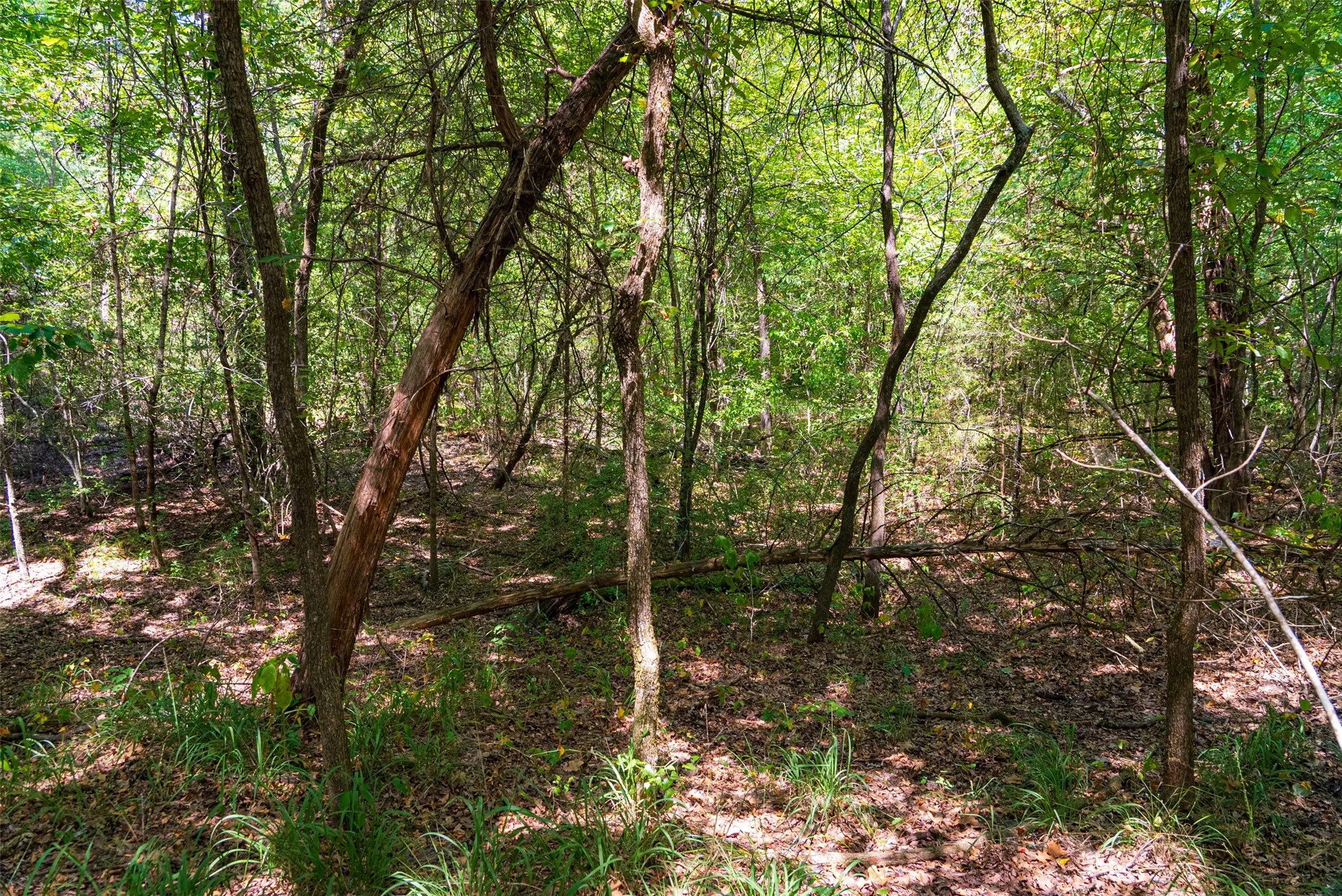 Improved Land For Sale in Henderson County , 11748 River Ranch Road, Kemp, Texas 75143, 0, 0, Garage spaces, 0 Sqft, built in 1986, mls#21357634, Real Estate Agent in Kemp, Homes For Sale in Henderson county, Homes For Sale in Kemp, Realtor in Kemp Texas, Real Estate Brokerage Independent Realty Texas, Luminita Cordes Realtor
