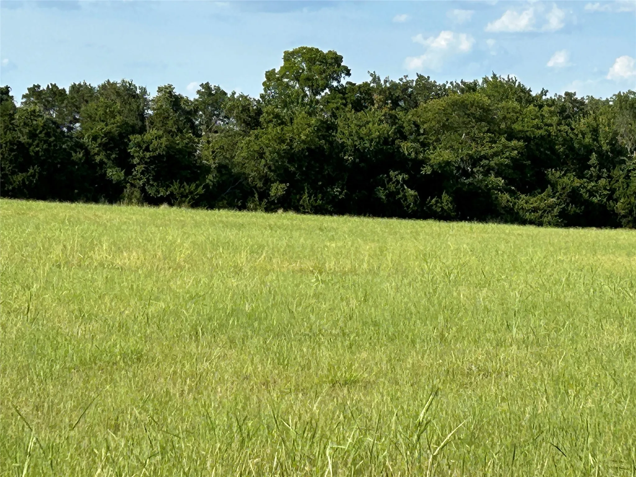 Unimproved Land For Sale in Bosque County , TBD Fm 219, Clifton, Texas 76634, 0, 0, Garage spaces, 0 Sqft, built in 0, mls#21353331, Real Estate Agent in Clifton, Homes For Sale in Bosque county, Homes For Sale in Clifton, Realtor in Clifton Texas, Real Estate Brokerage Independent Realty Texas, Luminita Cordes Realtor