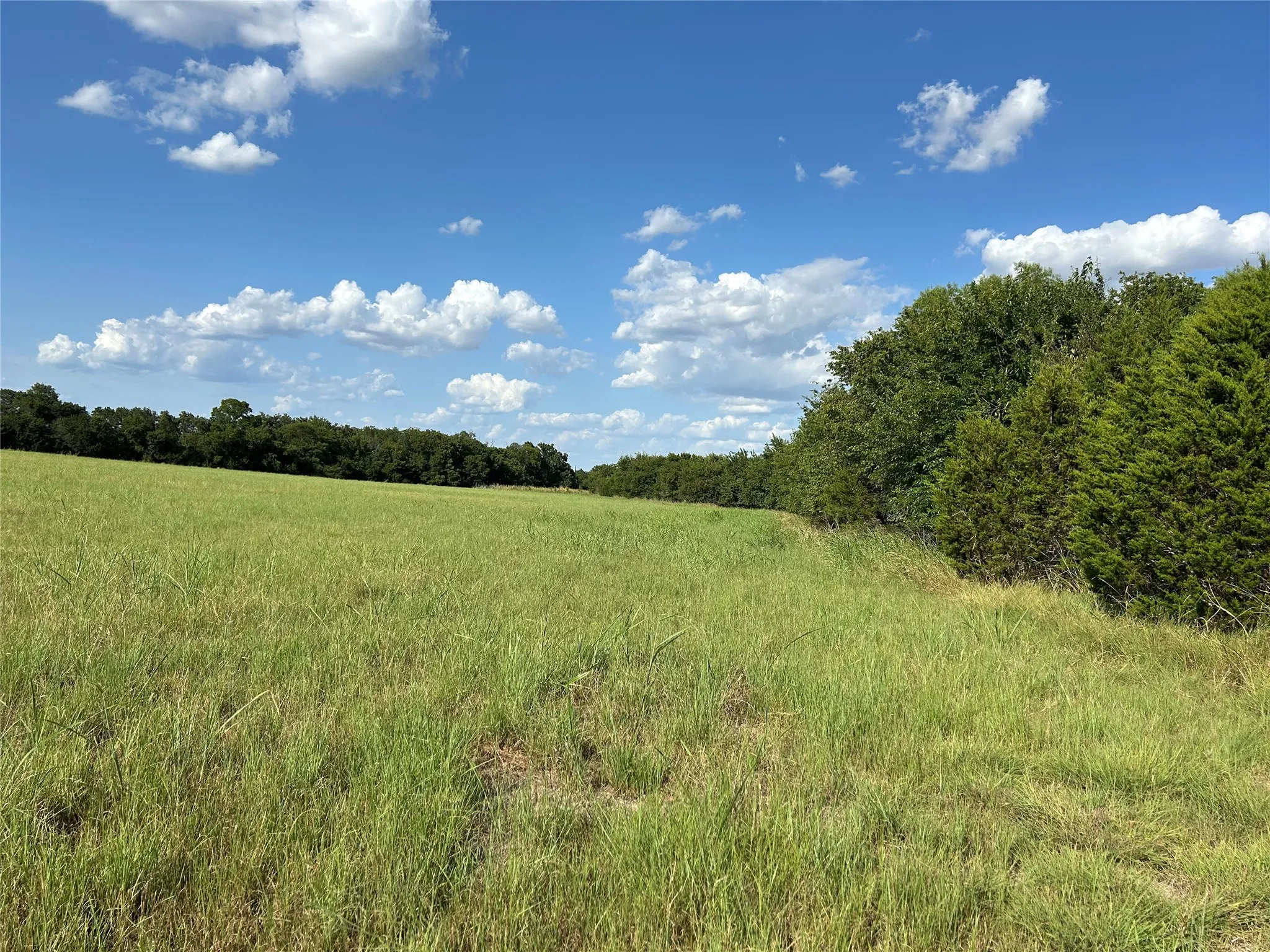 Unimproved Land For Sale in Bosque County , TBD Fm 219, Clifton, Texas 76634, 0, 0, Garage spaces, 0 Sqft, built in 0, mls#21353331, Real Estate Agent in Clifton, Homes For Sale in Bosque county, Homes For Sale in Clifton, Realtor in Clifton Texas, Real Estate Brokerage Independent Realty Texas, Luminita Cordes Realtor