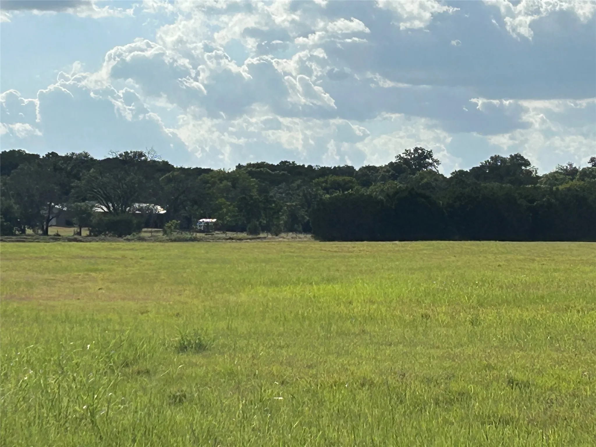 Unimproved Land For Sale in Bosque County , TBD Fm 219, Clifton, Texas 76634, 0, 0, Garage spaces, 0 Sqft, built in 0, mls#21353331, Real Estate Agent in Clifton, Homes For Sale in Bosque county, Homes For Sale in Clifton, Realtor in Clifton Texas, Real Estate Brokerage Independent Realty Texas, Luminita Cordes Realtor
