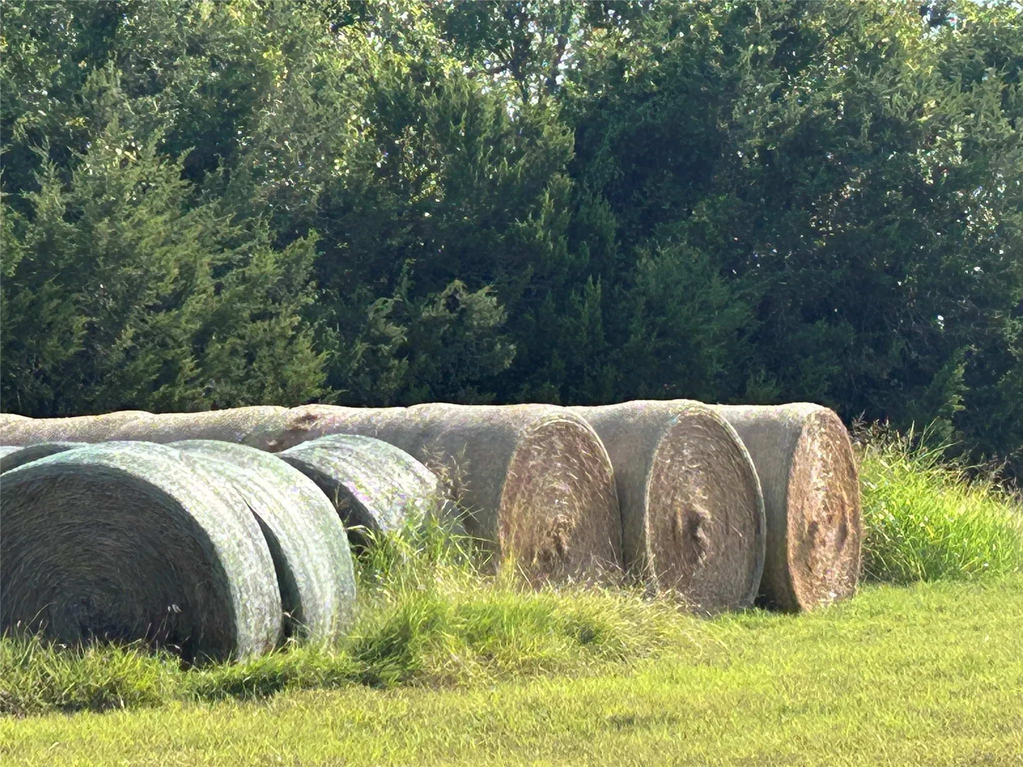 Unimproved Land For Sale in Bosque County , TBD Fm 219, Clifton, Texas 76634, 0, 0, Garage spaces, 0 Sqft, built in 0, mls#21353331, Real Estate Agent in Clifton, Homes For Sale in Bosque county, Homes For Sale in Clifton, Realtor in Clifton Texas, Real Estate Brokerage Independent Realty Texas, Luminita Cordes Realtor