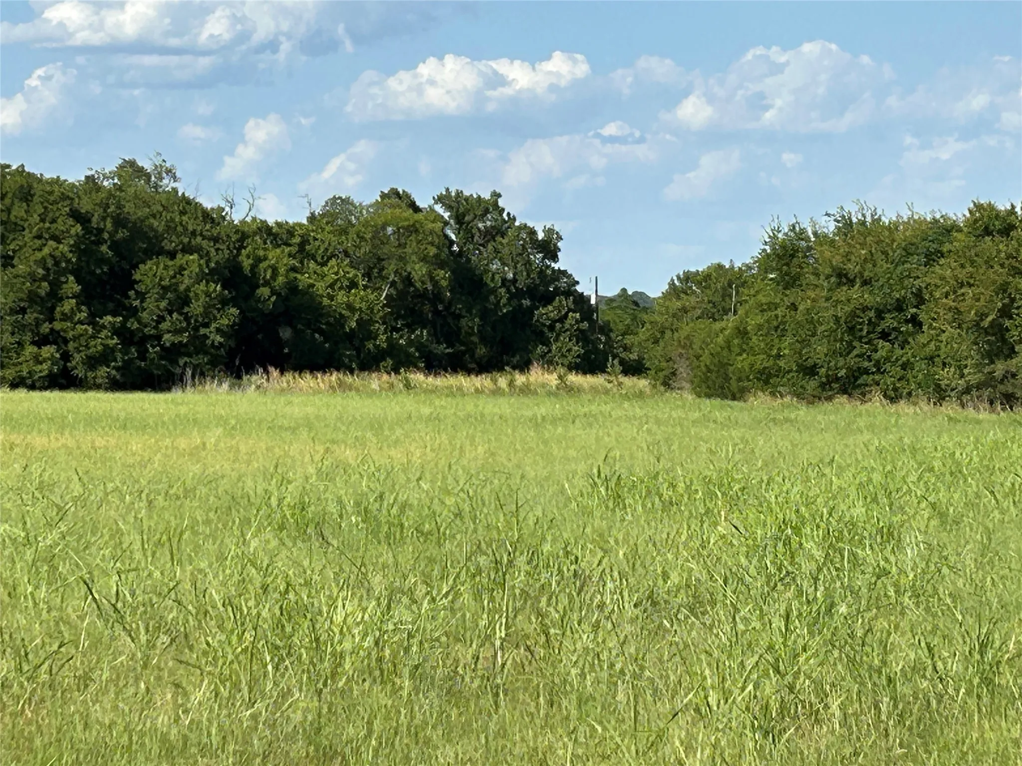 Unimproved Land For Sale in Bosque County , TBD Fm 219, Clifton, Texas 76634, 0, 0, Garage spaces, 0 Sqft, built in 0, mls#21353331, Real Estate Agent in Clifton, Homes For Sale in Bosque county, Homes For Sale in Clifton, Realtor in Clifton Texas, Real Estate Brokerage Independent Realty Texas, Luminita Cordes Realtor