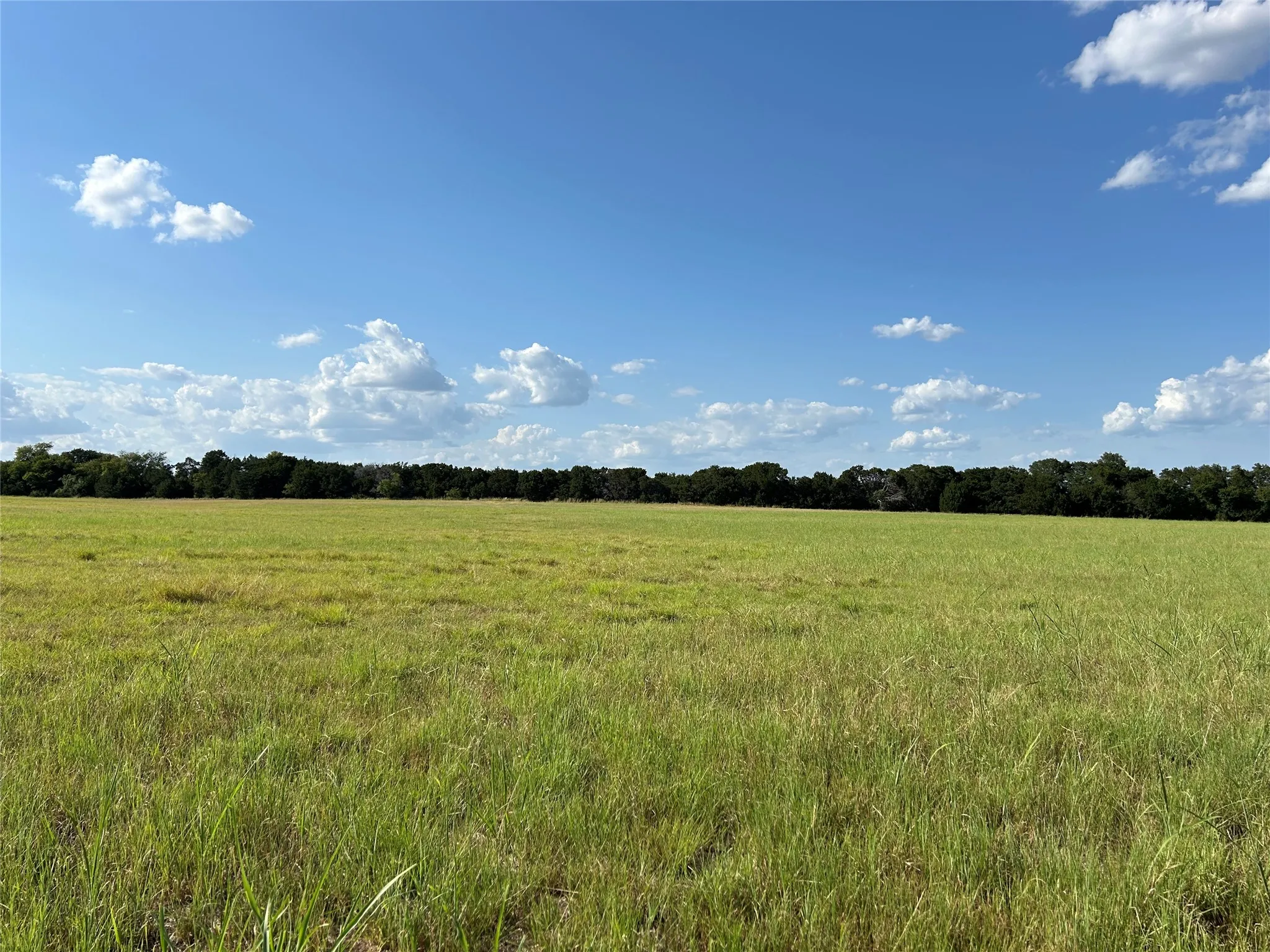 Unimproved Land For Sale in Bosque County , TBD Fm 219, Clifton, Texas 76634, 0, 0, Garage spaces, 0 Sqft, built in 0, mls#21353331, Real Estate Agent in Clifton, Homes For Sale in Bosque county, Homes For Sale in Clifton, Realtor in Clifton Texas, Real Estate Brokerage Independent Realty Texas, Luminita Cordes Realtor
