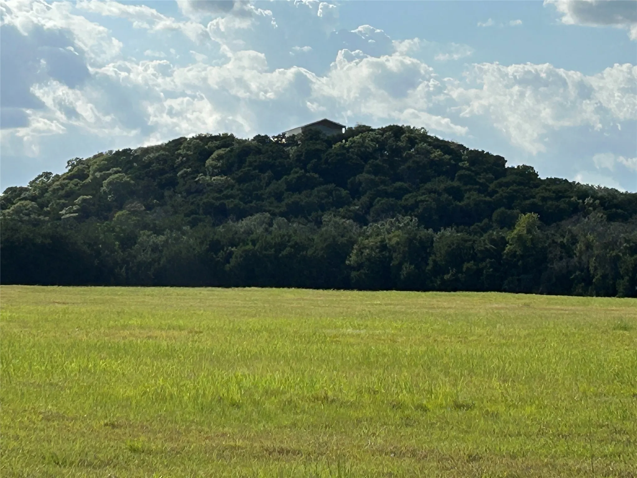 Unimproved Land For Sale in Bosque County , TBD Fm 219, Clifton, Texas 76634, 0, 0, Garage spaces, 0 Sqft, built in 0, mls#21353331, Real Estate Agent in Clifton, Homes For Sale in Bosque county, Homes For Sale in Clifton, Realtor in Clifton Texas, Real Estate Brokerage Independent Realty Texas, Luminita Cordes Realtor