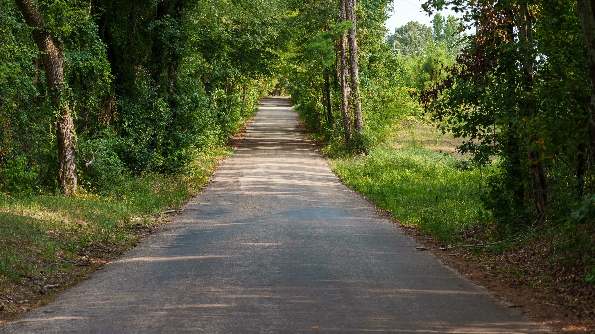 Unimproved Land For Sale in Smith County , TBD CR 246 S, Tyler, Texas 75705, 0, 0, Garage spaces, 0 Sqft, built in 0, mls#21337277, Real Estate Agent in Tyler, Homes For Sale in Smith county, Homes For Sale in Tyler, Realtor in Tyler Texas, Real Estate Brokerage Independent Realty Texas, Luminita Cordes Realtor